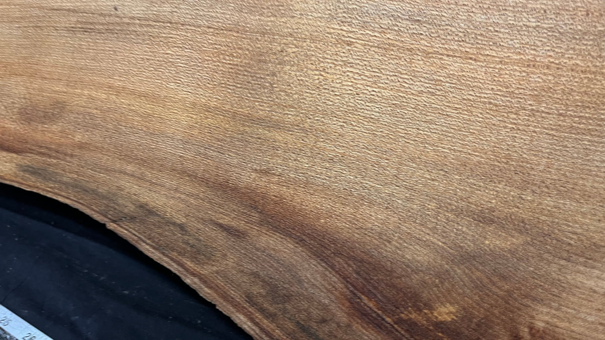 Elm mantle piece, natural edge 1195 L x 203 W x 60 D mm    (719)