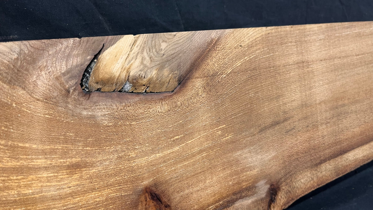 Elm mantle piece, natural edge 1195 L x 203 W x 60 D mm    (719)