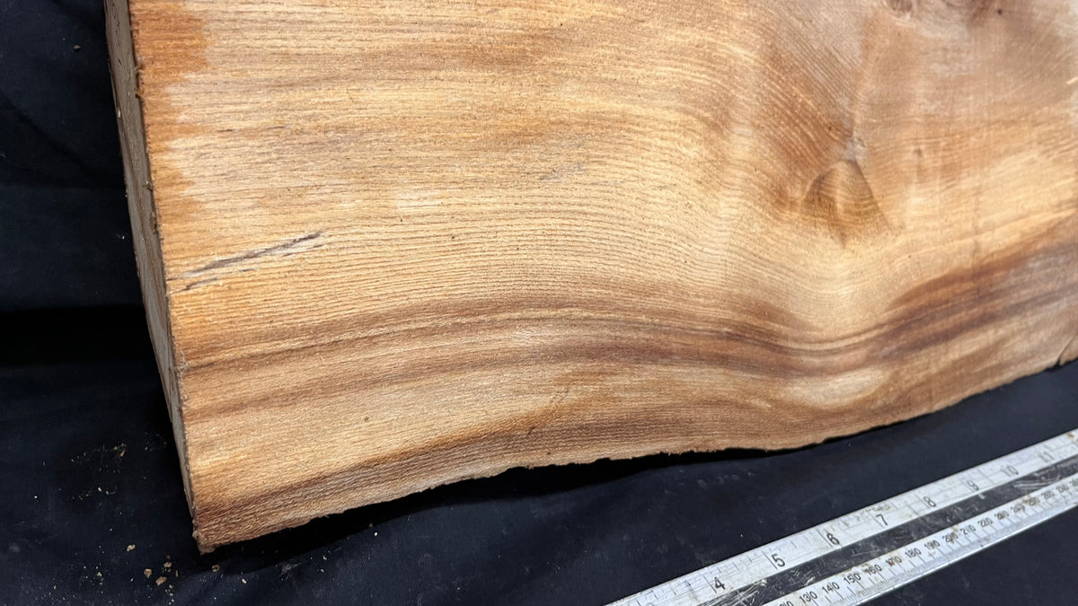 Elm mantle piece, natural edge 1190 L x 181 W x 90 D mm    (720)
