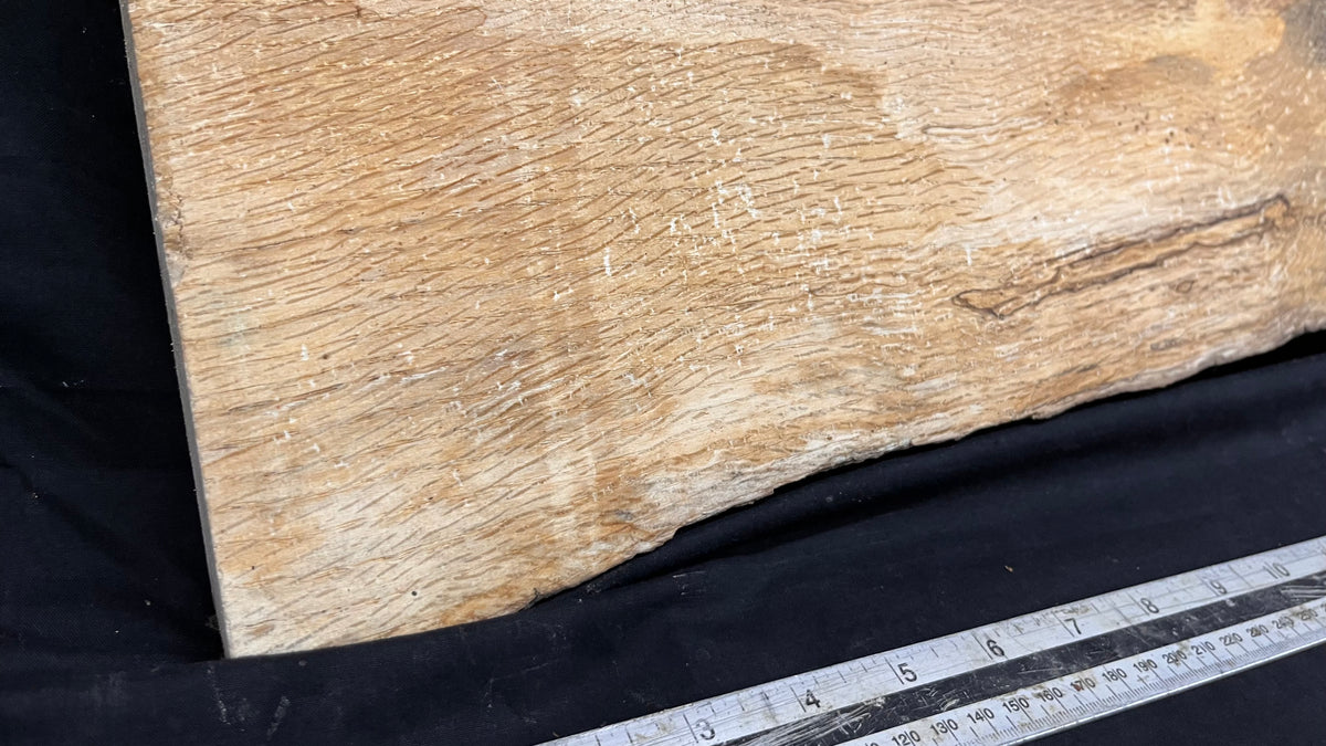 Spalted turkey oak, hardwood shelf, mantle.  975 L x 260 W x 34 D mm    (736)