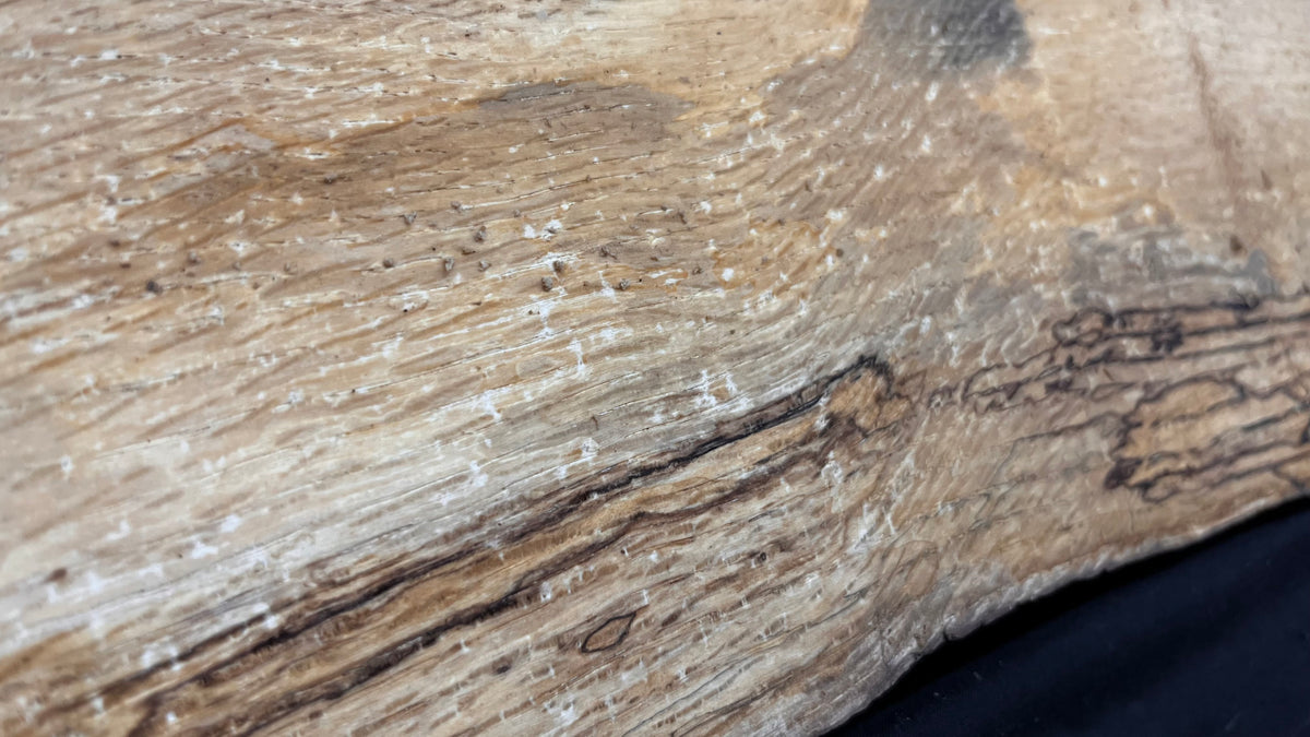 Spalted turkey oak, hardwood shelf, mantle.  975 L x 260 W x 34 D mm    (736)