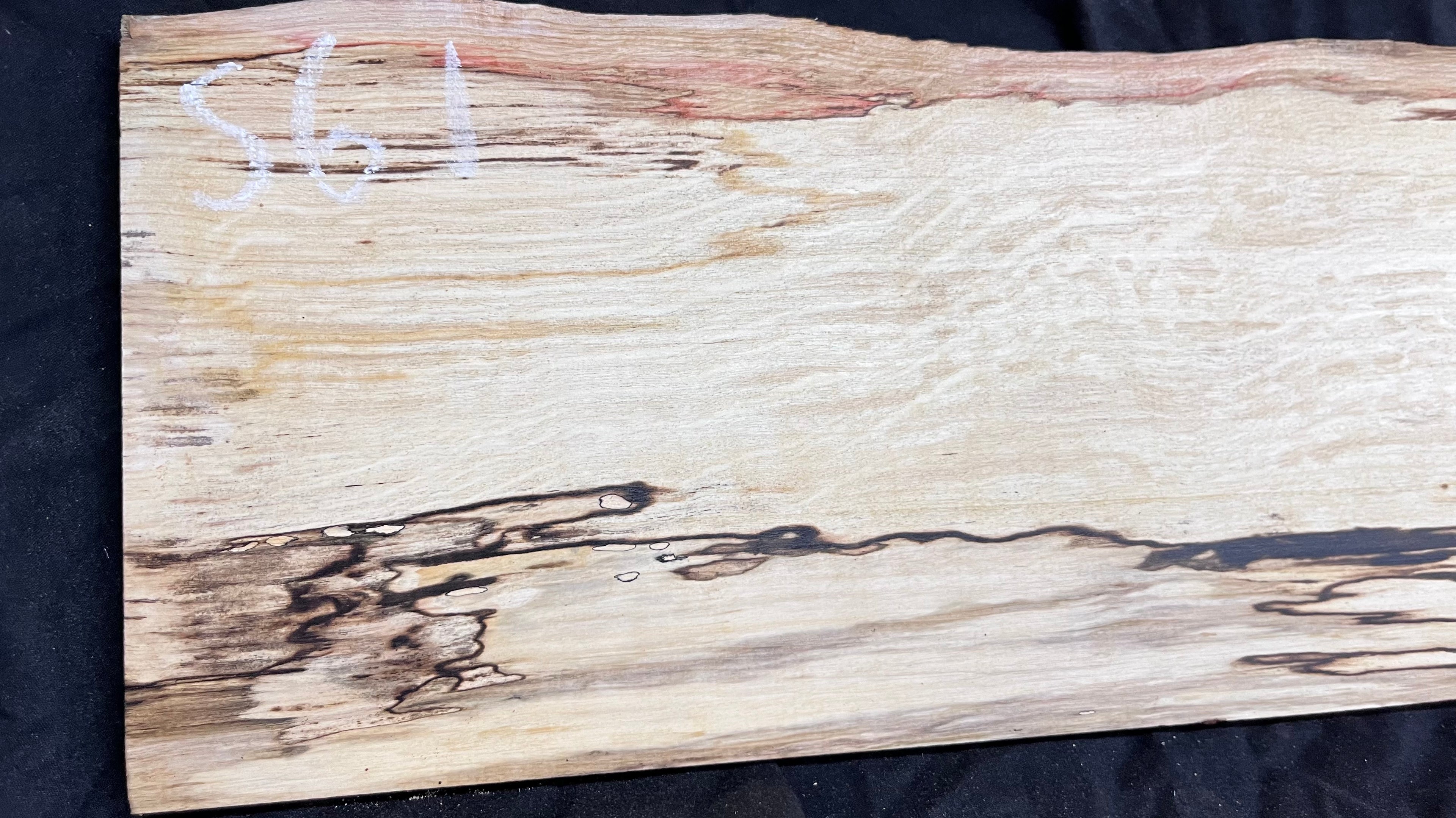 Spalted hornbeam furniture making plank 1450 L x 192 W x 19 D (mm)   (561)