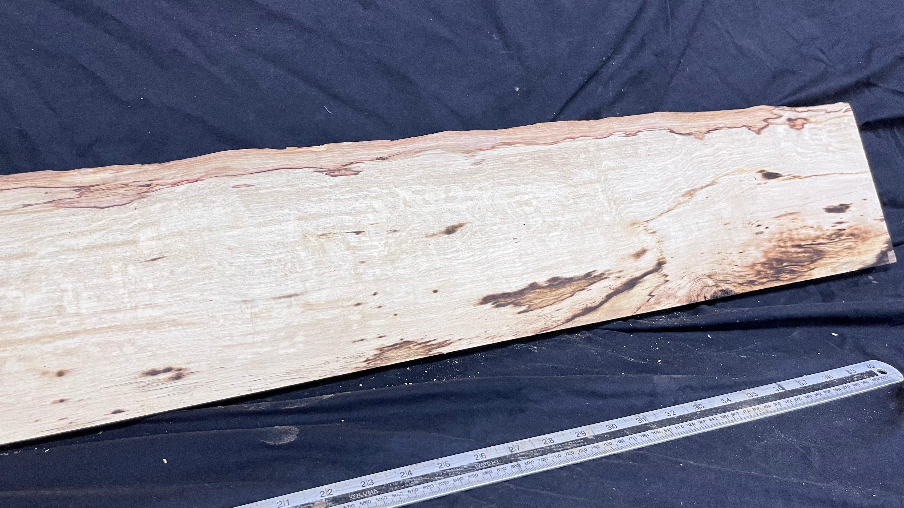Spalted hornbeam furniture making plank 1450 L x 192 W x 19 D (mm)   (561)