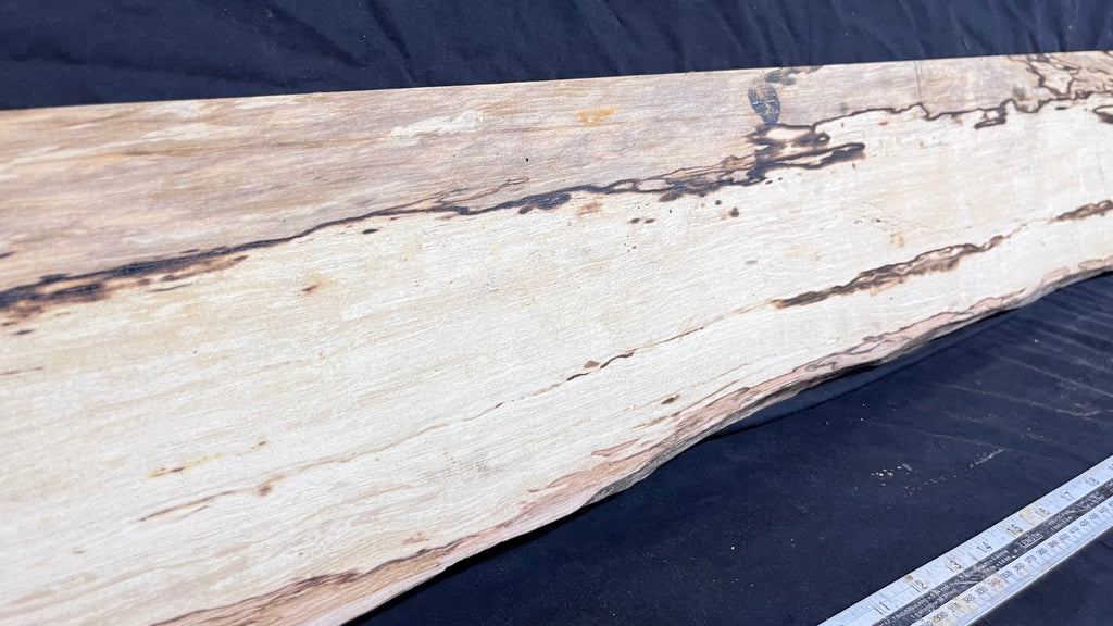 Spalted hornbeam furniture making plank 1450 L x 192 W x 19 D (mm)   (561)