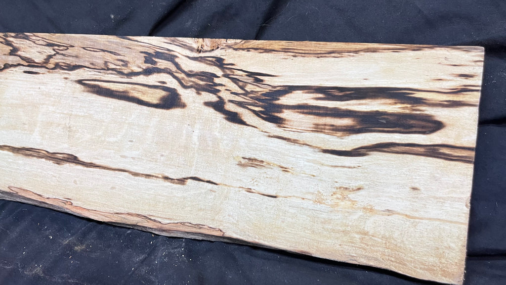 Spalted hornbeam furniture making plank 1450 L x 192 W x 19 D (mm)   (561)
