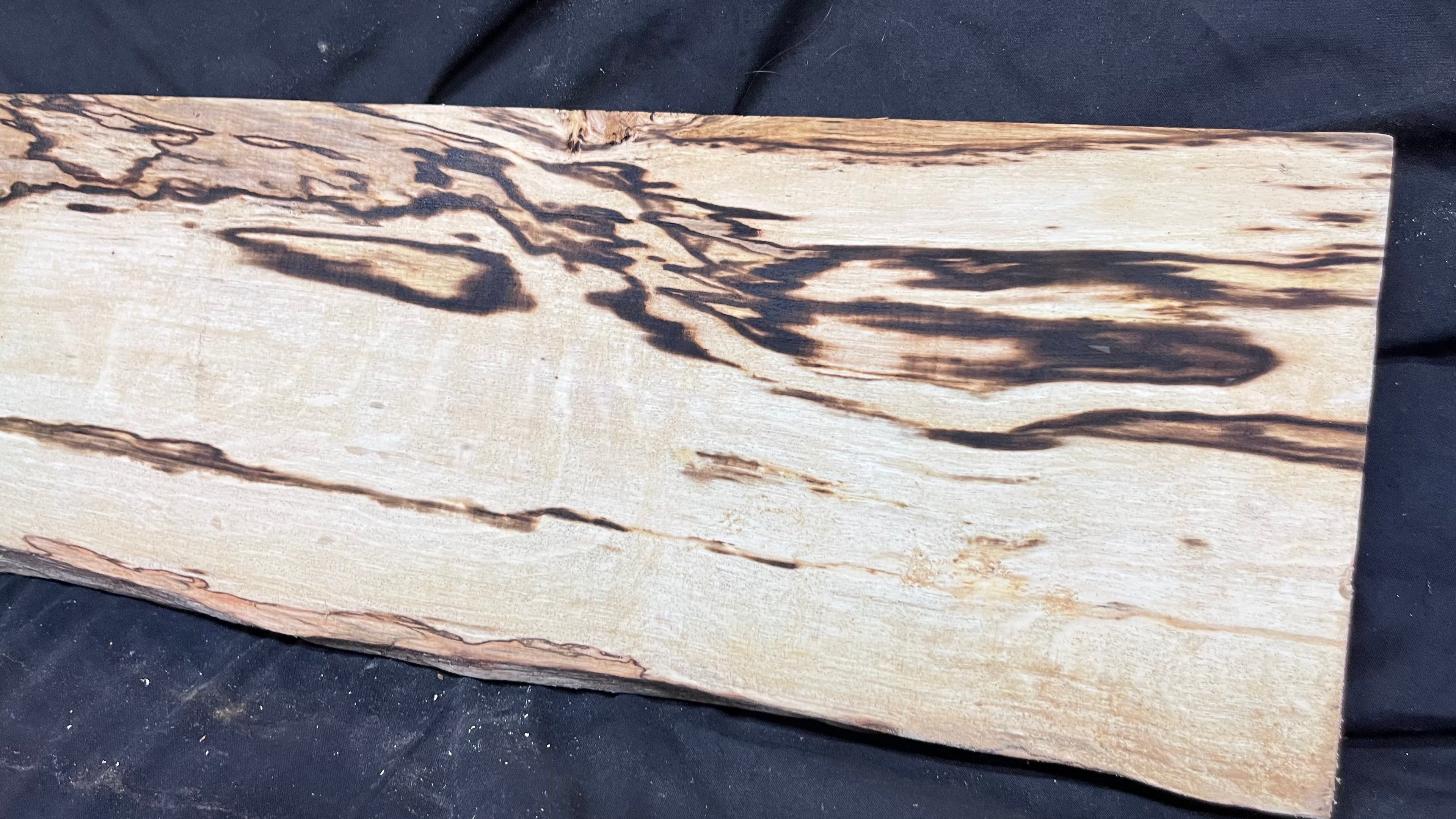 Spalted hornbeam furniture making plank 1450 L x 192 W x 19 D (mm)   (561)