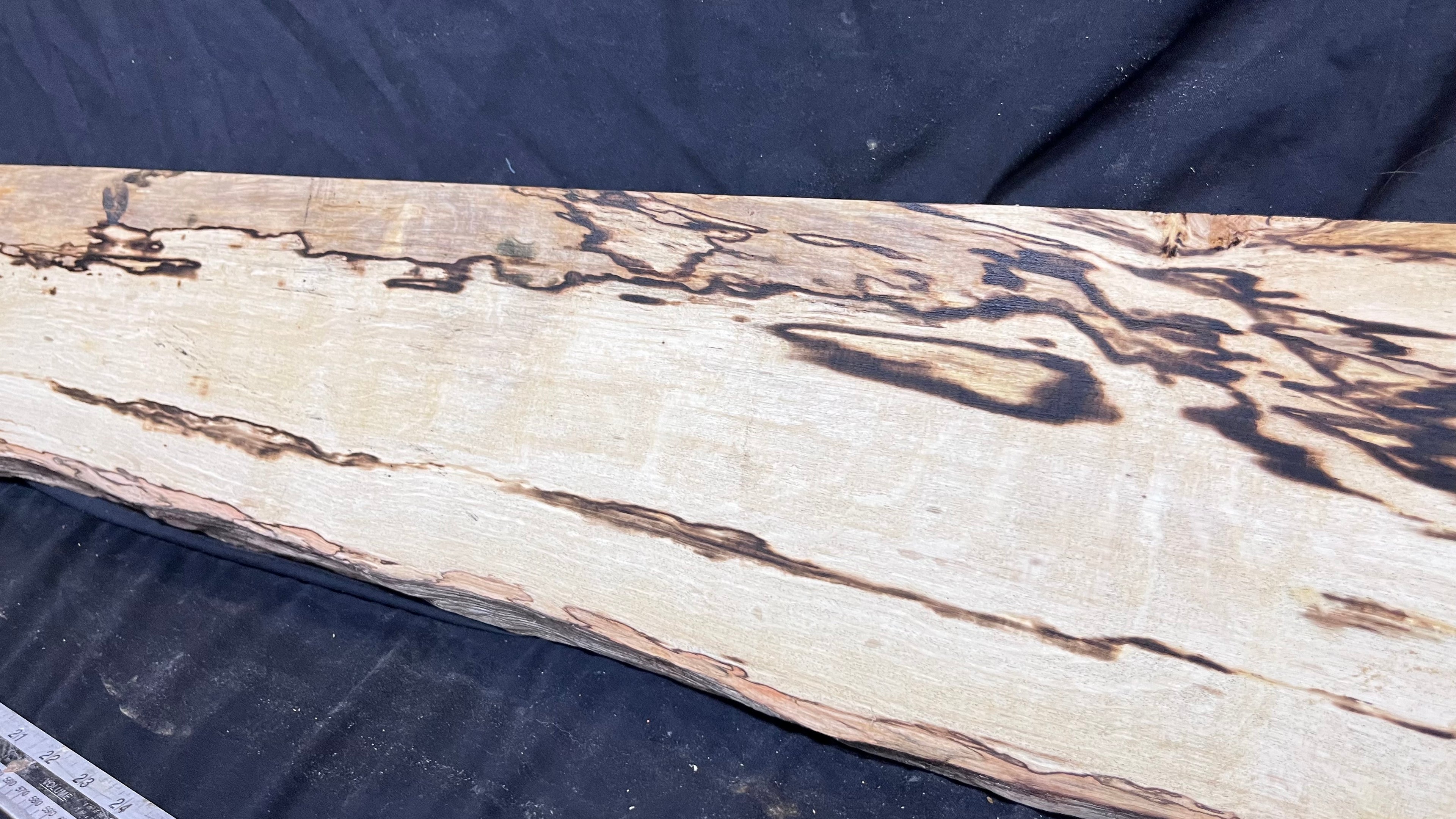 Spalted hornbeam furniture making plank 1450 L x 192 W x 19 D (mm)   (561)