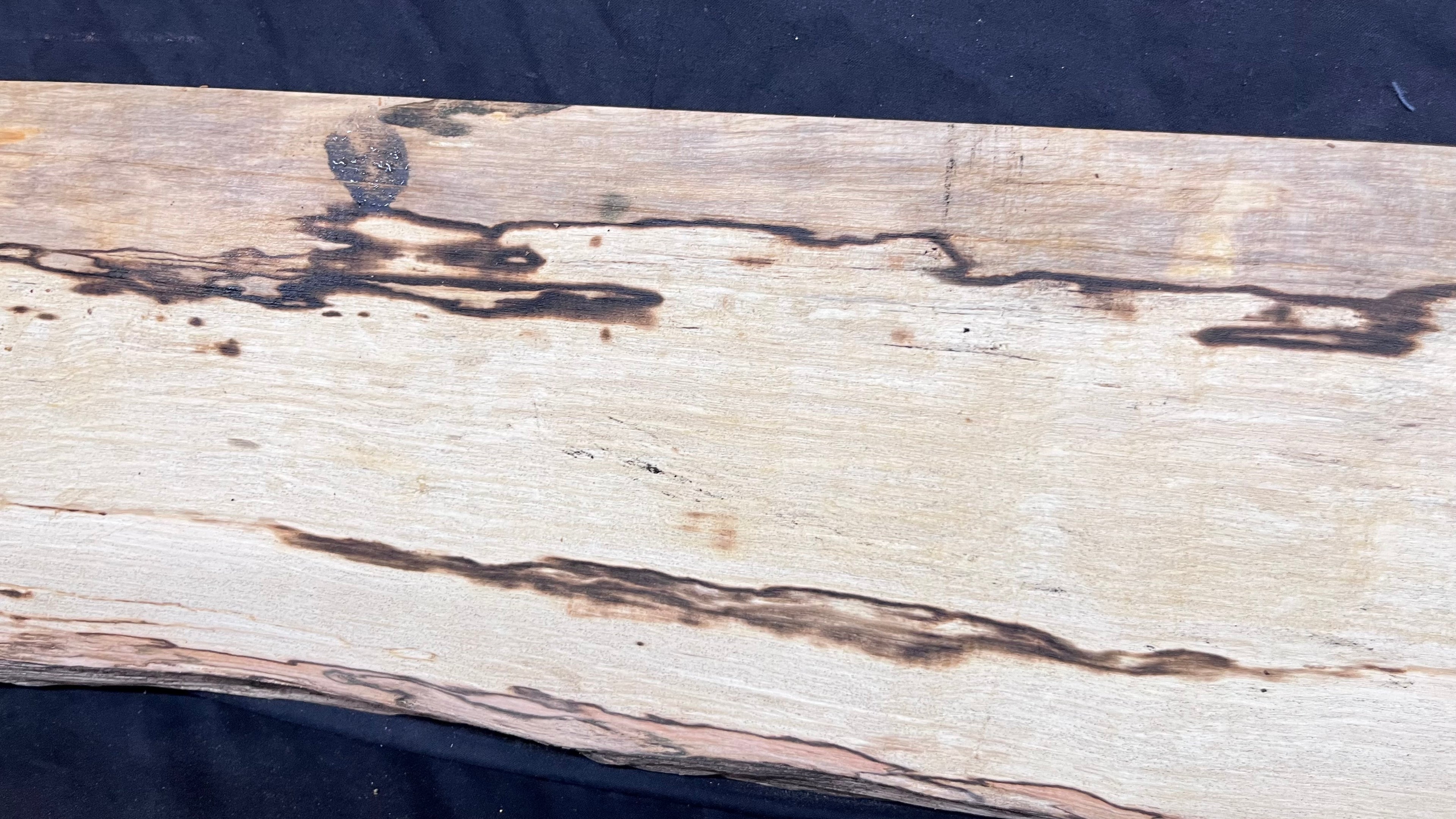 Spalted hornbeam furniture making plank 1450 L x 192 W x 19 D (mm)   (561)