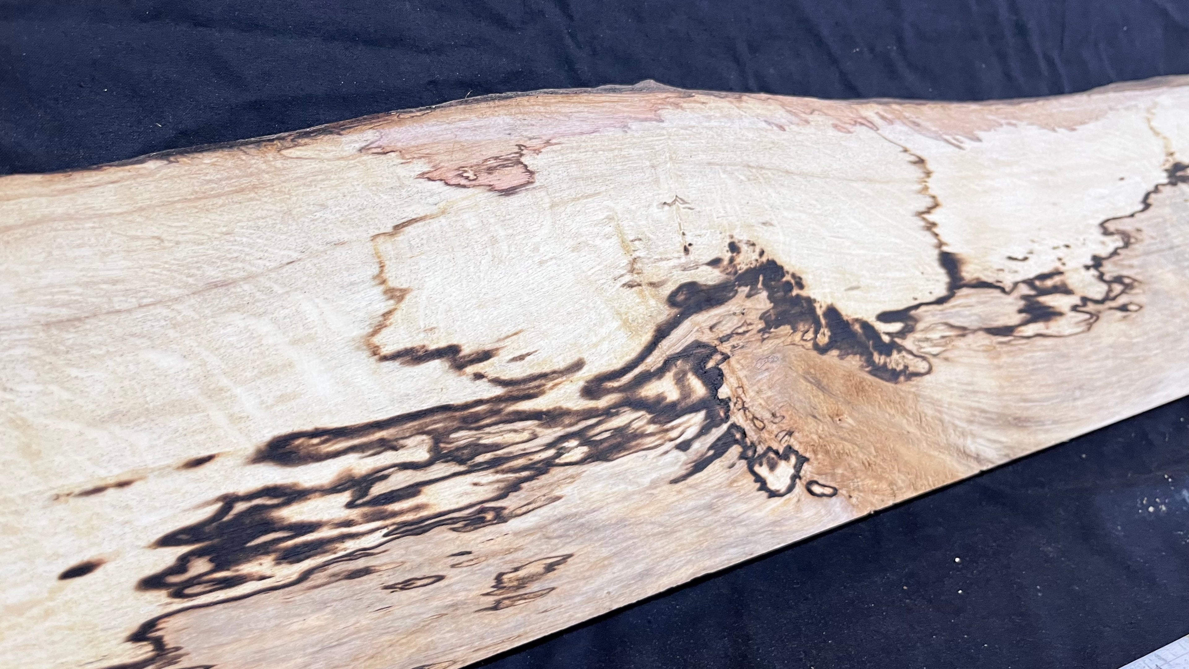 Spalted hornbeam furniture making plank 1450 L x 170 W x 18 D mm  (562)