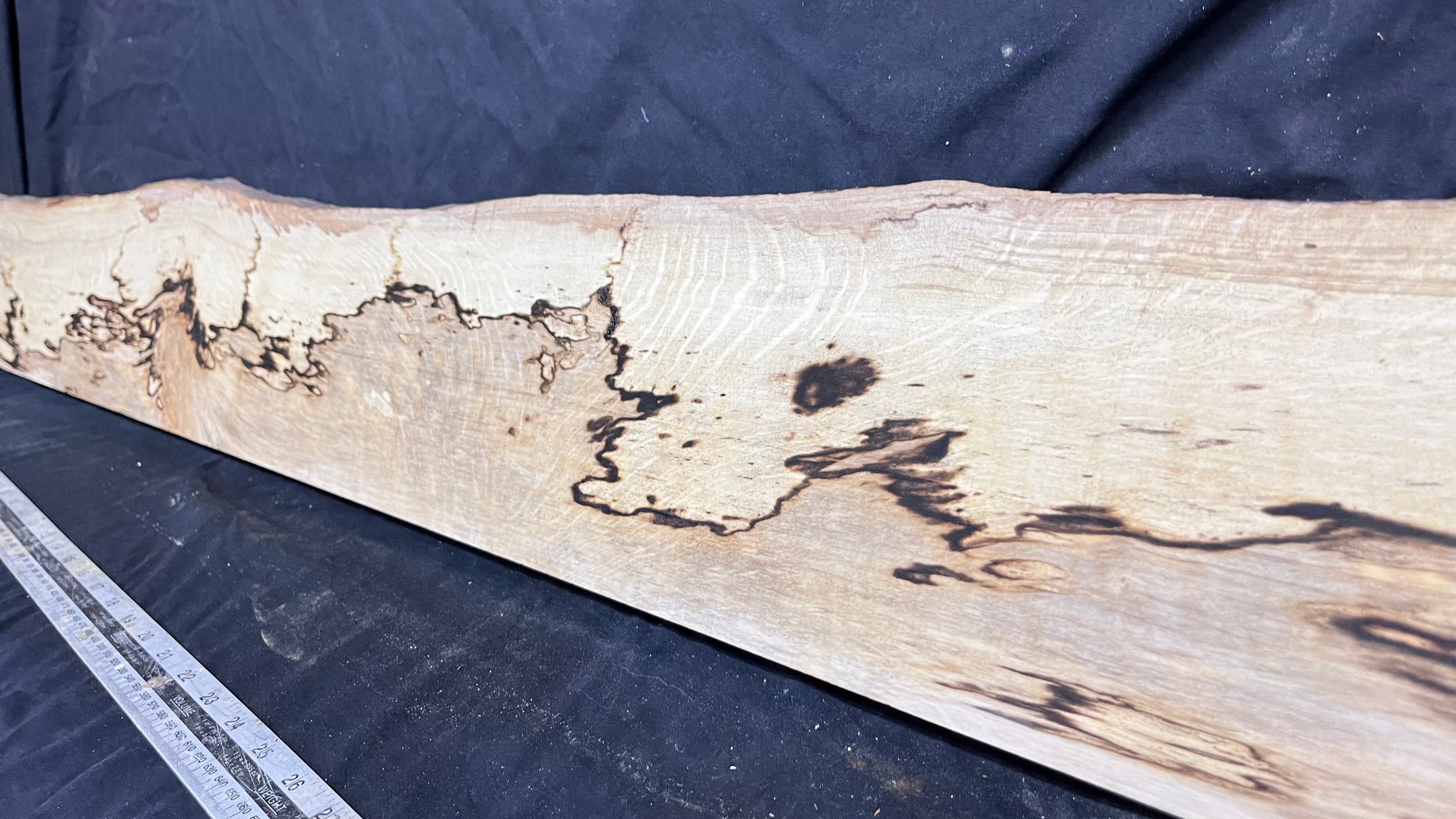 Spalted hornbeam furniture making plank 1450 L x 170 W x 18 D mm  (562)