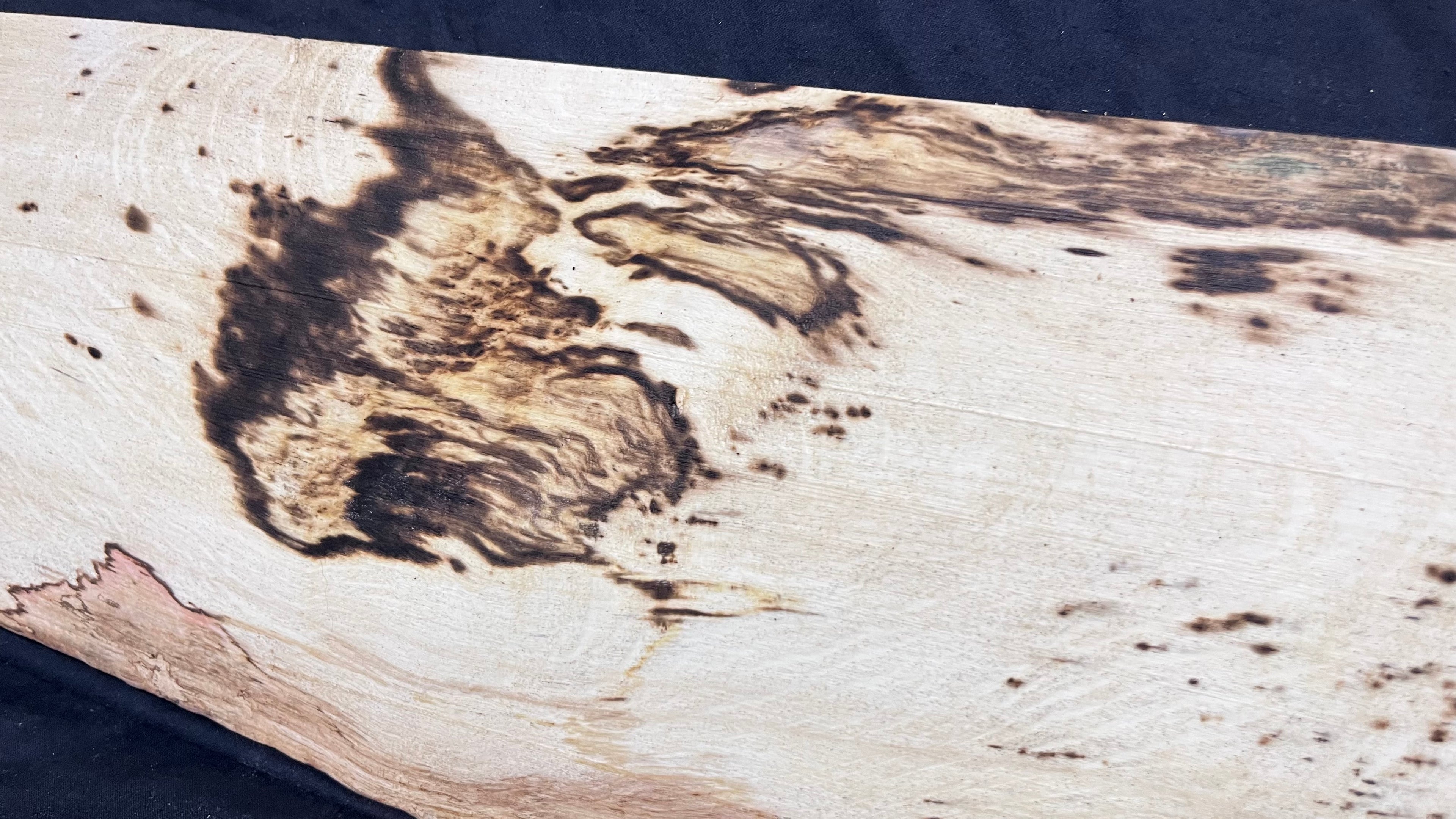 Spalted hornbeam furniture making plank 1450 L x 170 W x 18 D mm  (562)