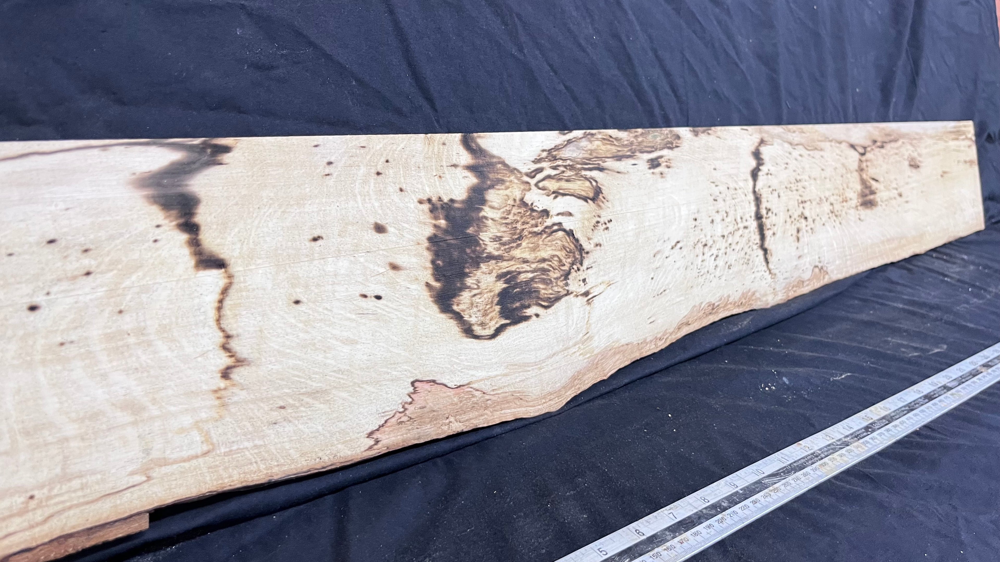 Spalted hornbeam furniture making plank 1450 L x 170 W x 18 D mm  (562)