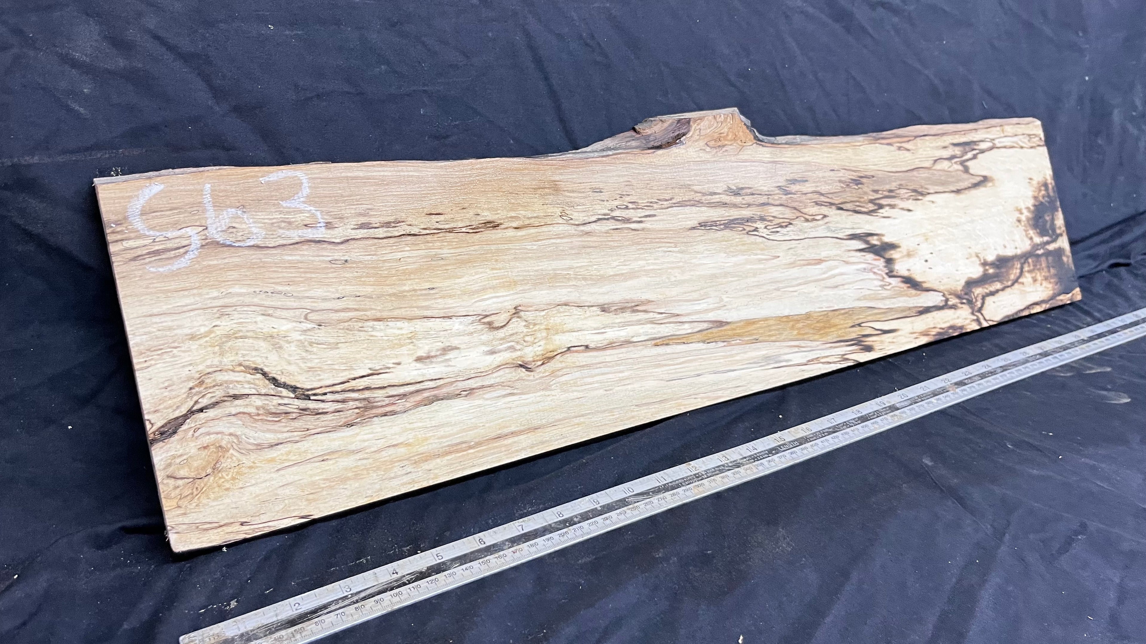 Spalted hornbeam furniture making plank 794 L x 213 W x 19 D mm  (563)