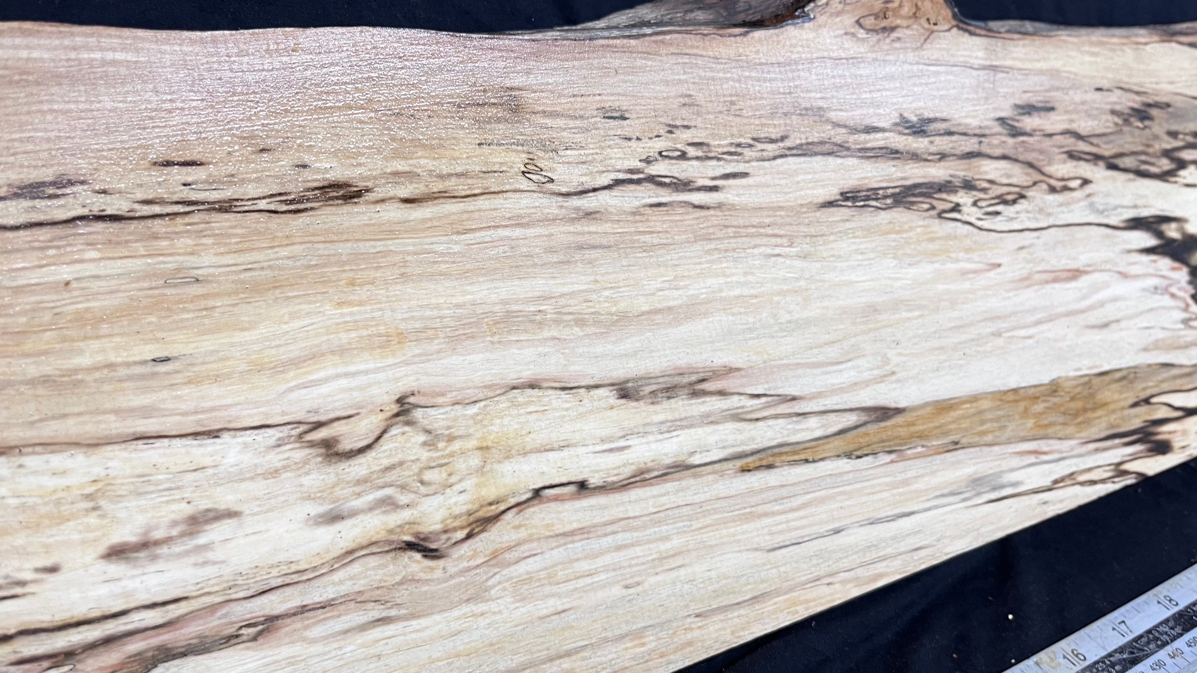 Spalted hornbeam furniture making plank 794 L x 213 W x 19 D mm  (563)