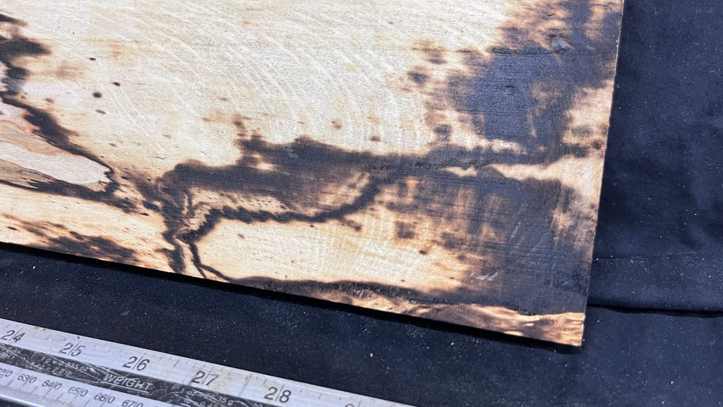 Spalted hornbeam furniture making plank 794 L x 213 W x 19 D mm  (563)