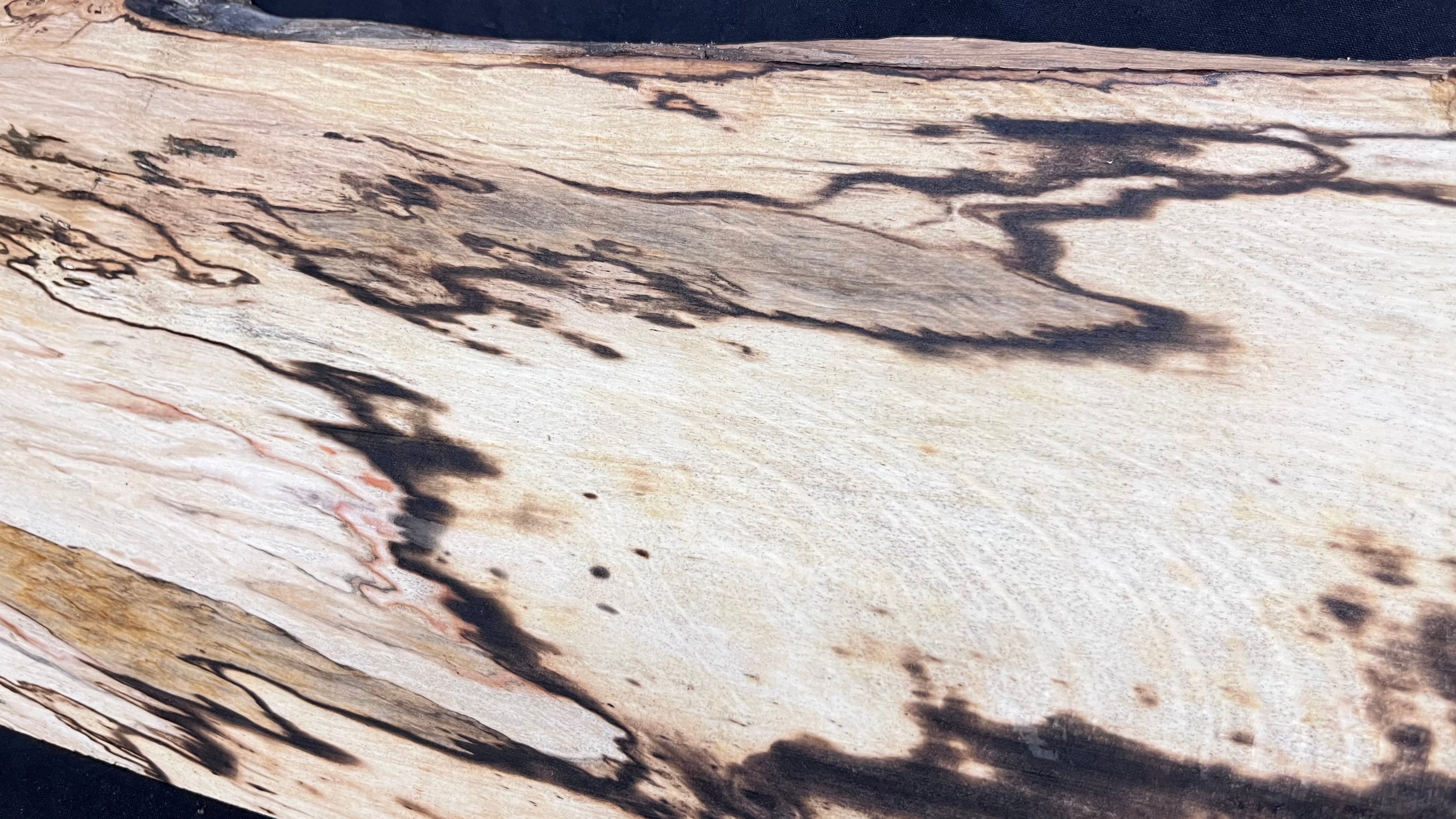 Spalted hornbeam furniture making plank 794 L x 213 W x 19 D mm  (563)