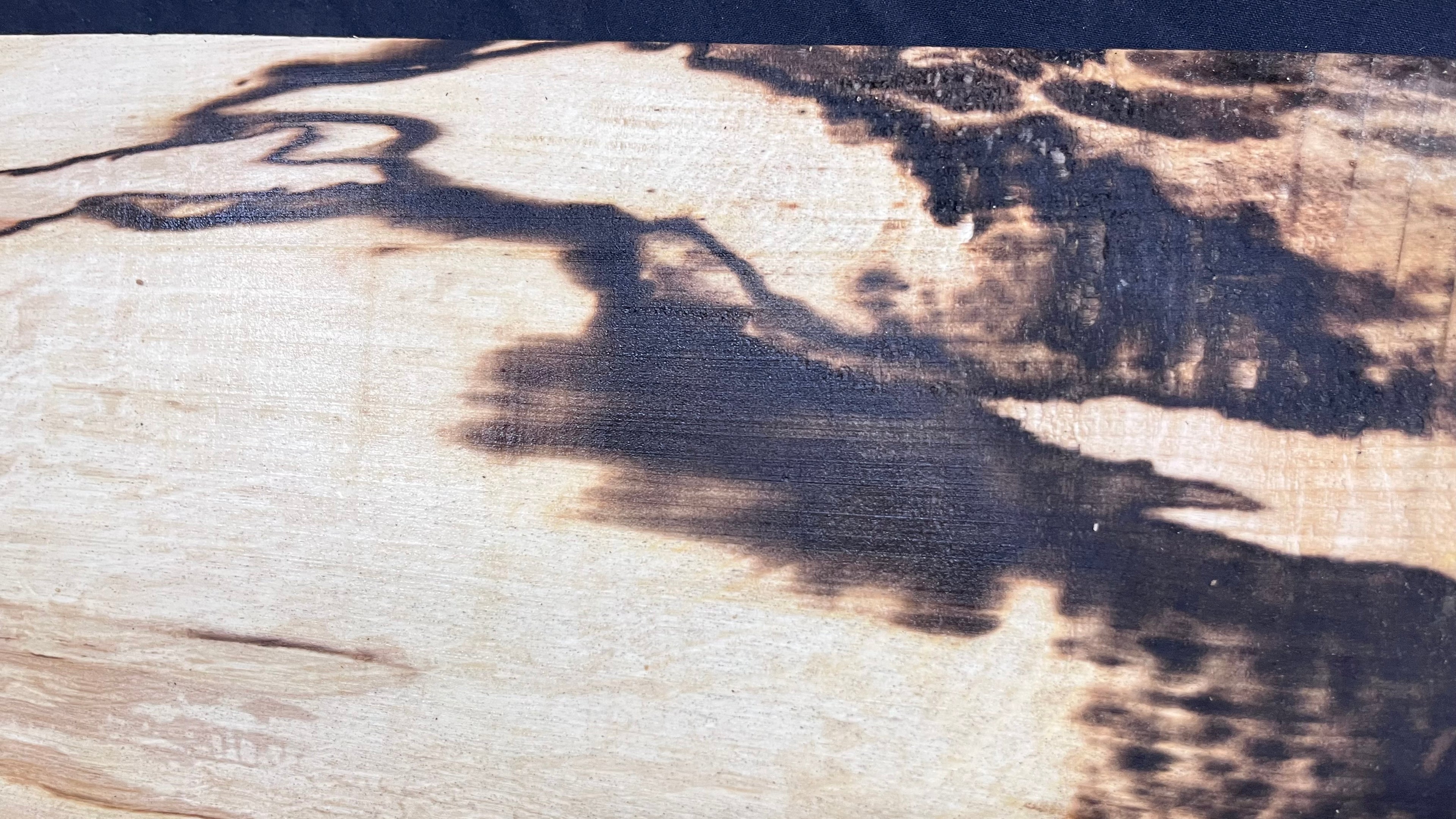 Spalted hornbeam furniture making plank 794 L x 213 W x 19 D mm  (563)