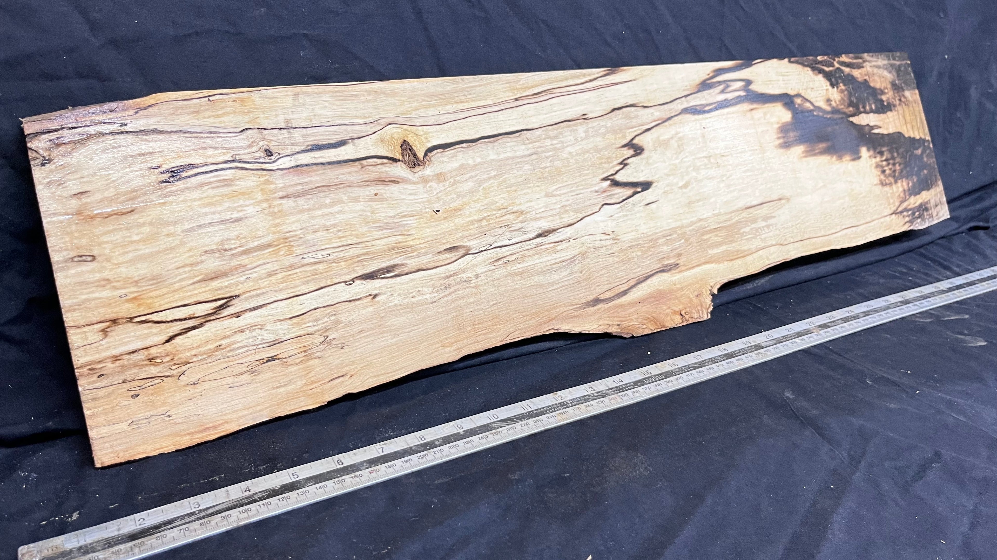 Spalted hornbeam furniture making plank 794 L x 213 W x 19 D mm  (563)