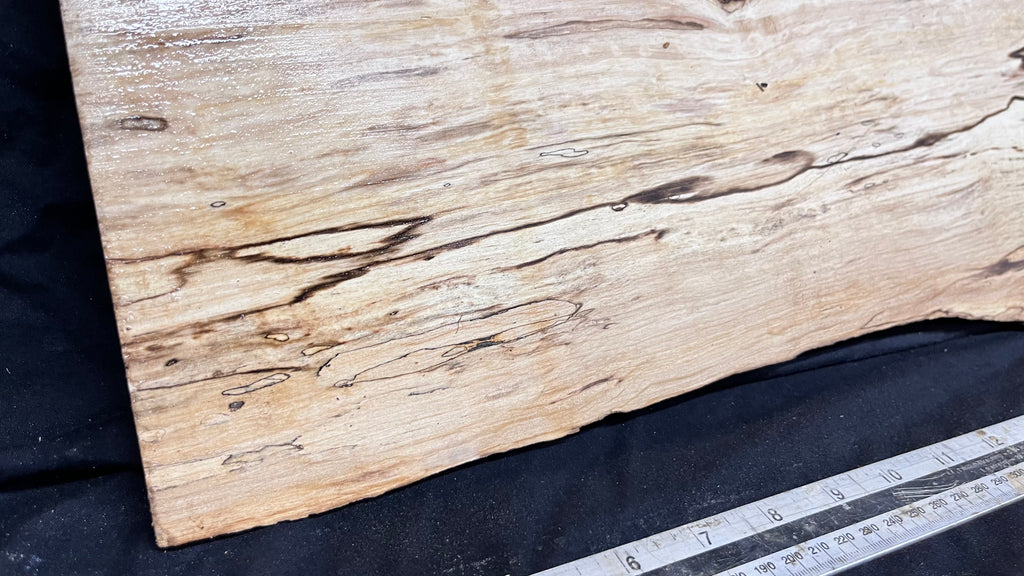 Spalted hornbeam furniture making plank 794 L x 213 W x 19 D mm  (563)