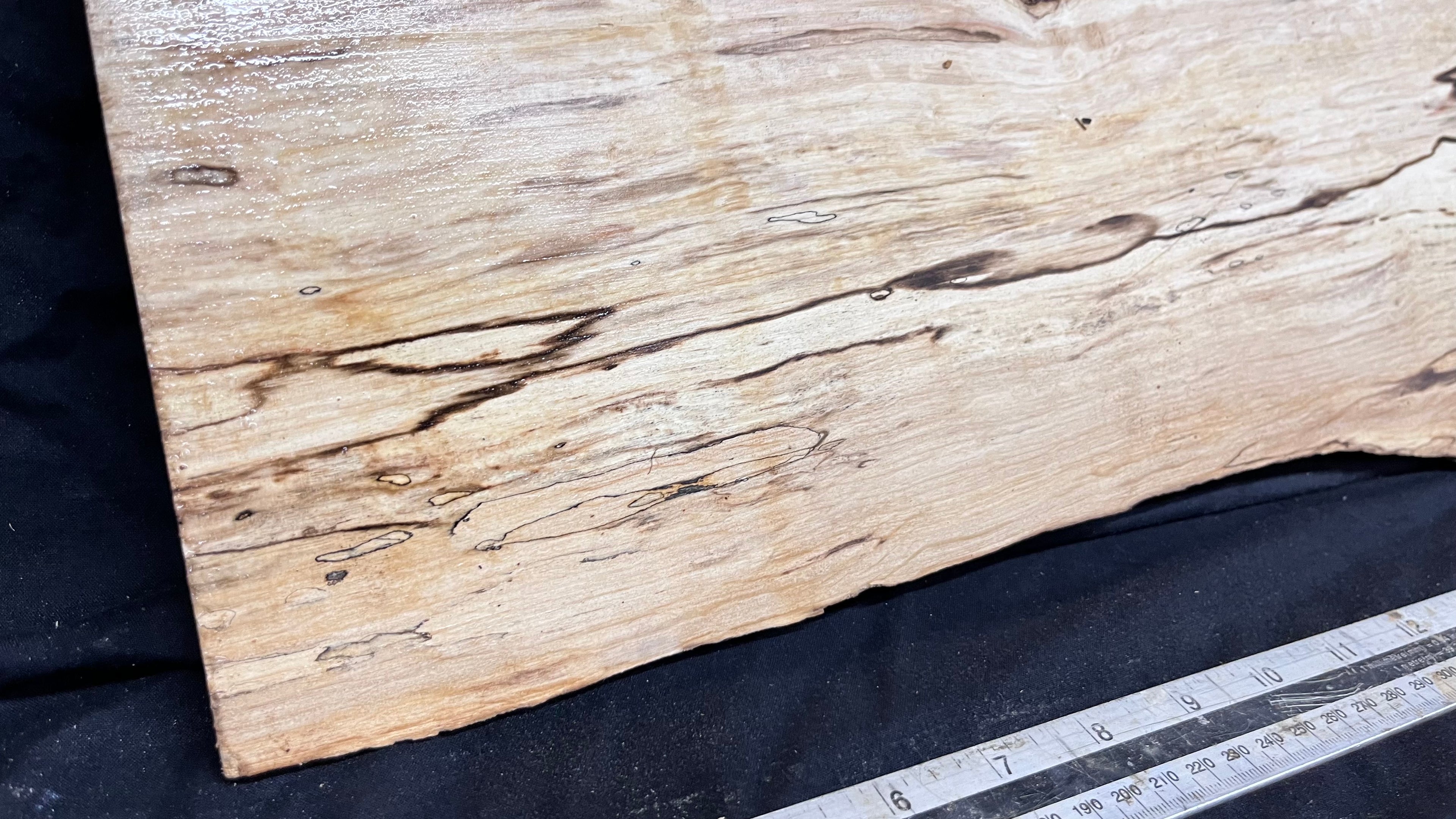 Spalted hornbeam furniture making plank 794 L x 213 W x 19 D mm  (563)