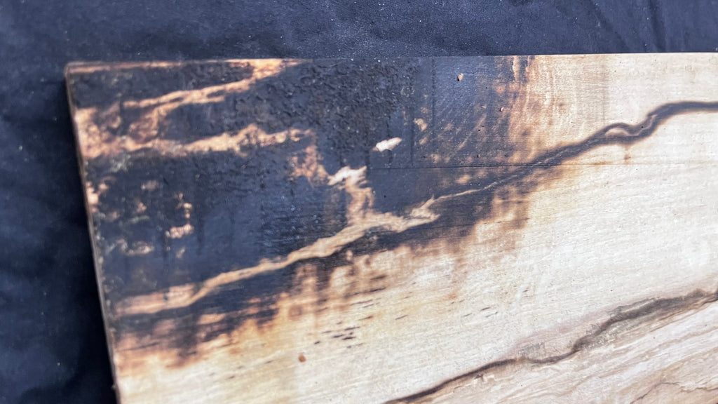 Spalted hornbeam furniture making plank 814 L x 200 W x 20 D mm  (564)