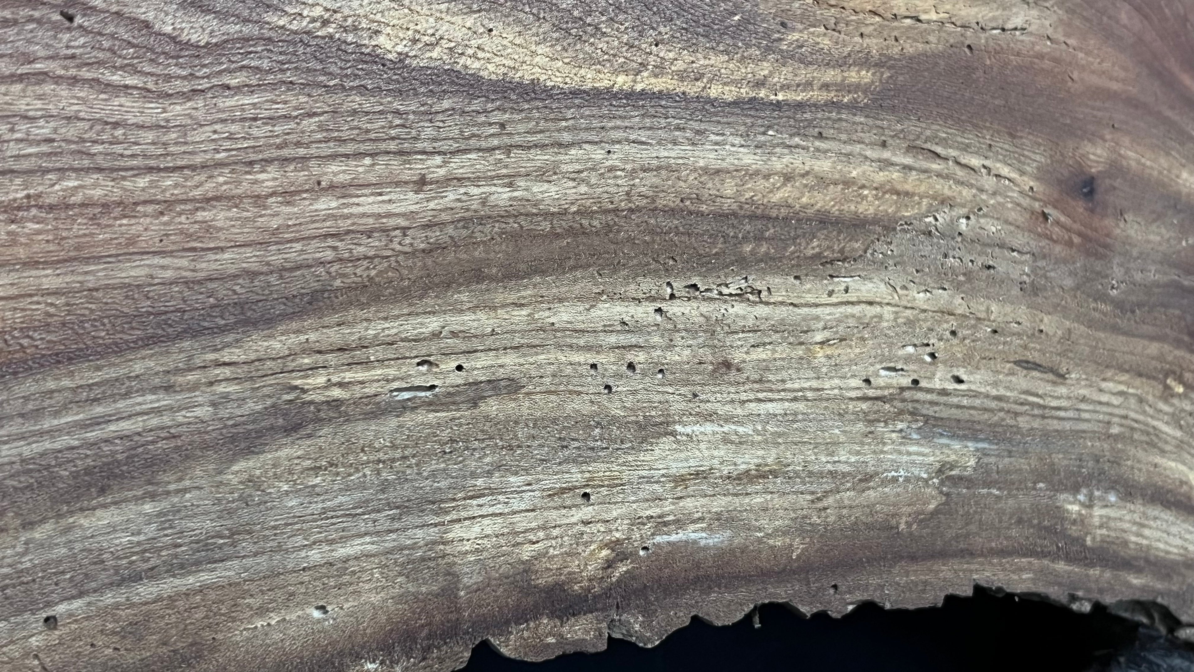 Burr elm rustic table top, 943 L x 529 W x 35 D mm    (mt566)