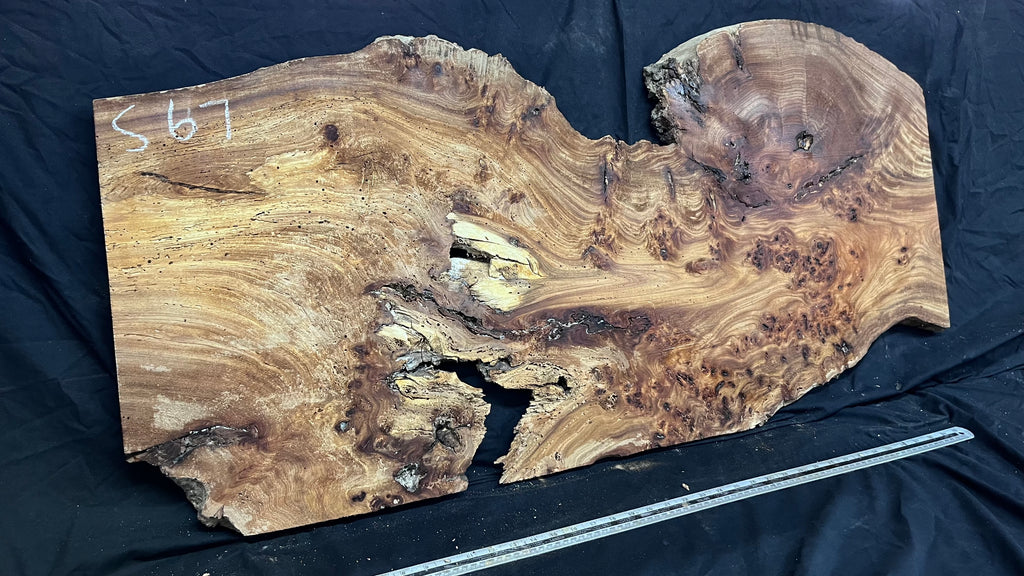 Burr elm rustic table top, 1180 L x 570 W x 35 D mm    (mt567)