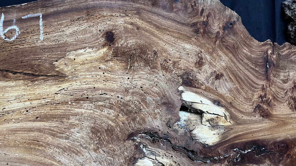 Burr elm rustic table top, 1180 L x 570 W x 35 D mm    (mt567)