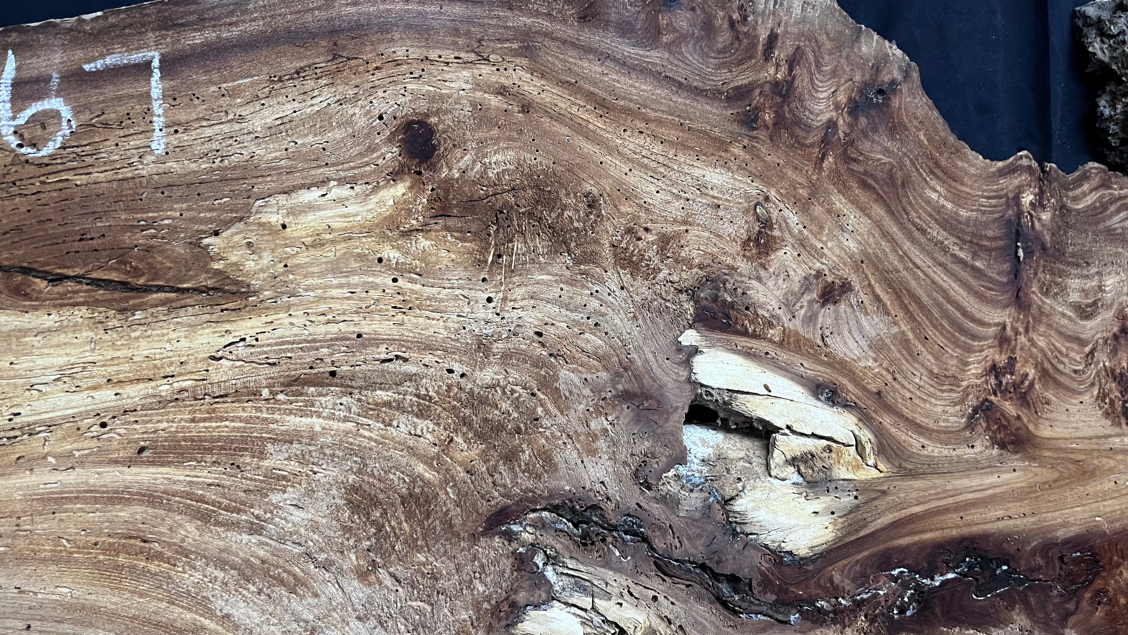 Burr elm rustic table top, 1180 L x 570 W x 35 D mm    (mt567)