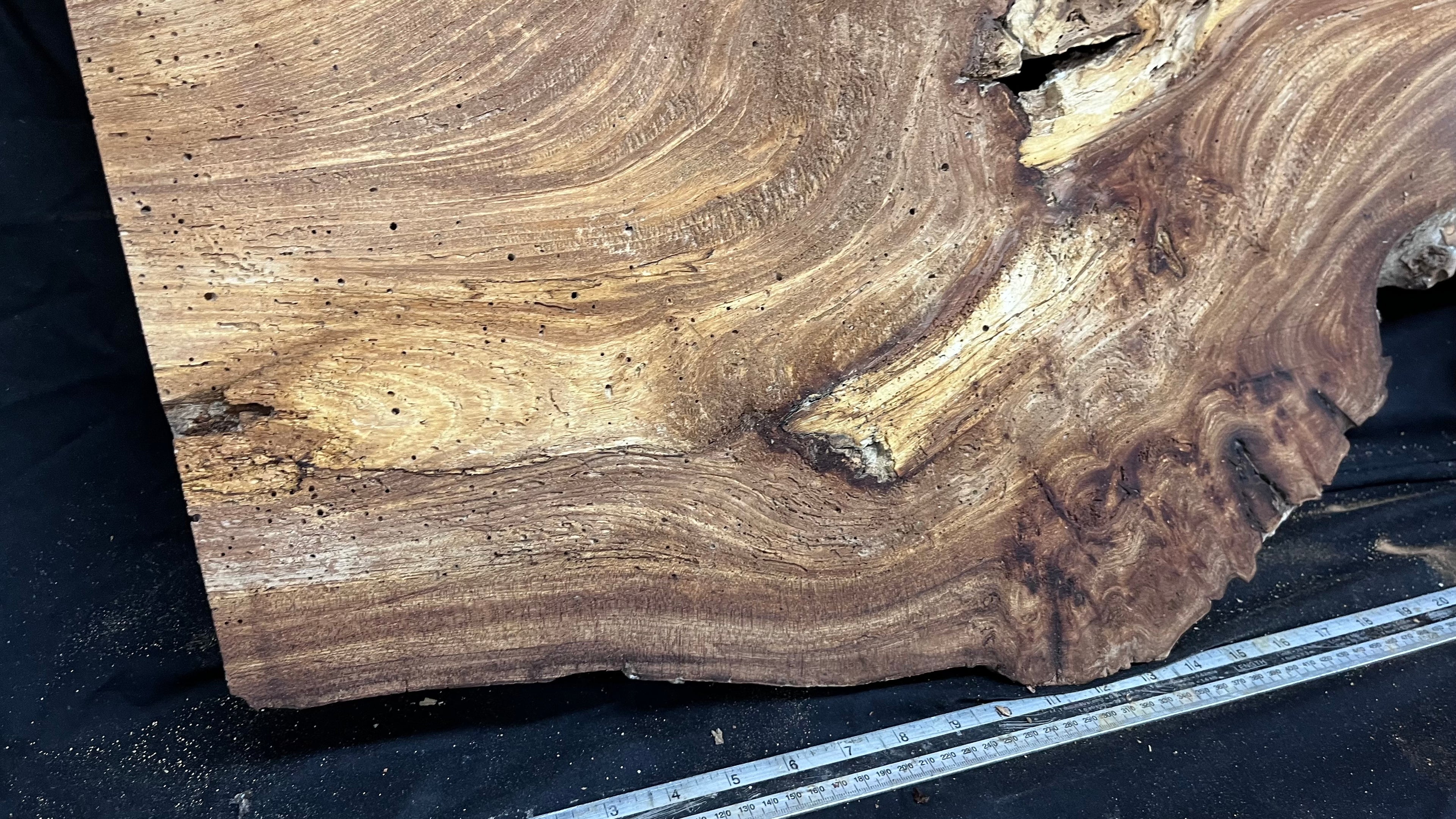 Burr elm rustic table top, 1180 L x 570 W x 35 D mm    (mt567)