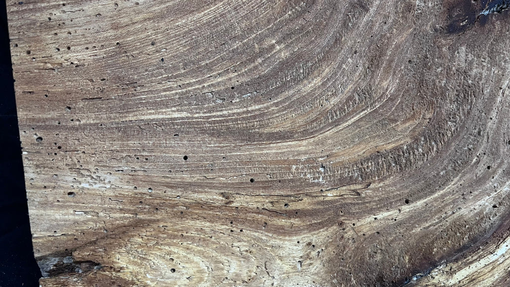 Burr elm rustic table top, 1180 L x 570 W x 35 D mm    (mt567)