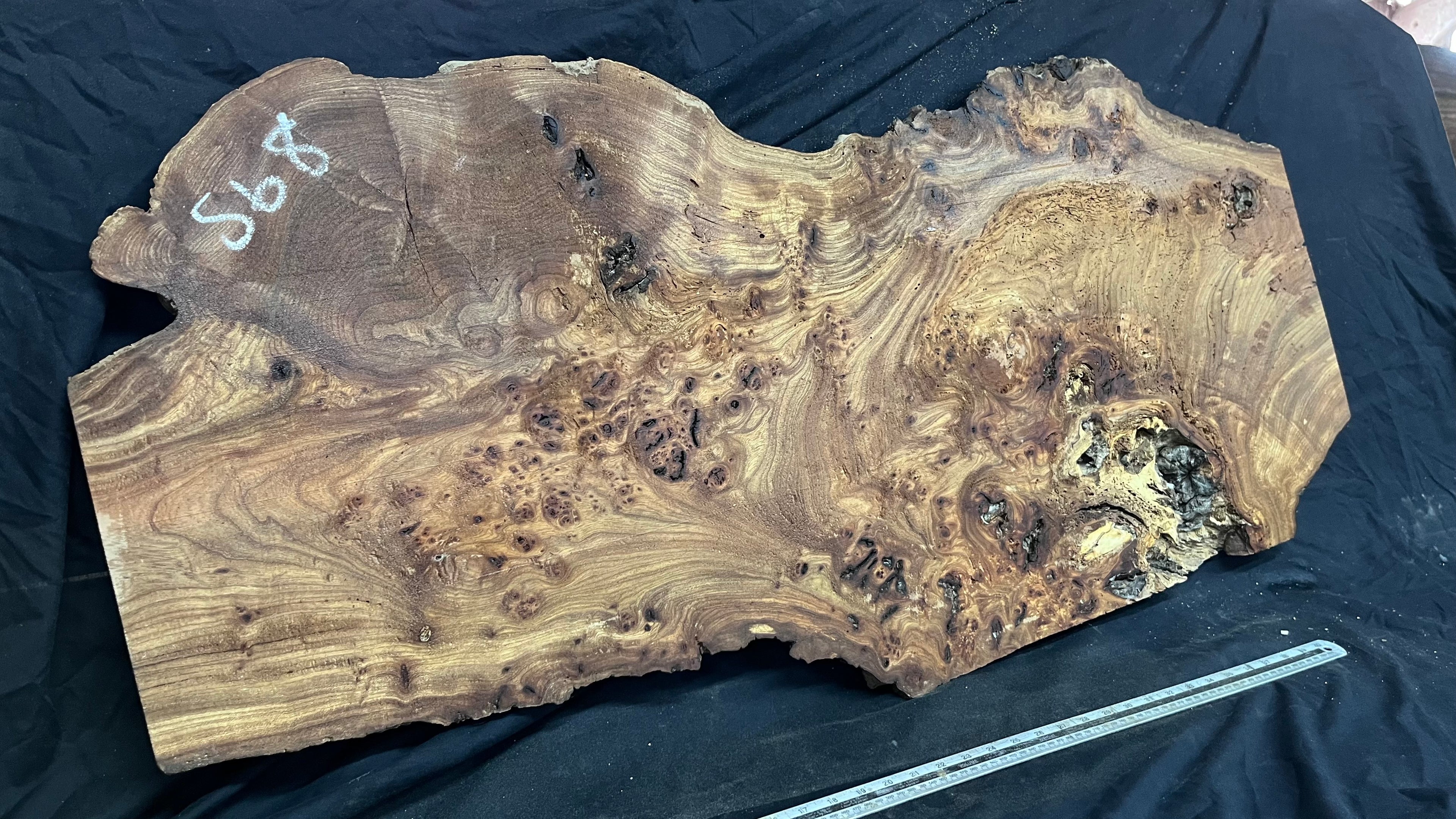 Burr elm rustic table top, 1204 L x 526 W x 41 D mm    (mt568)