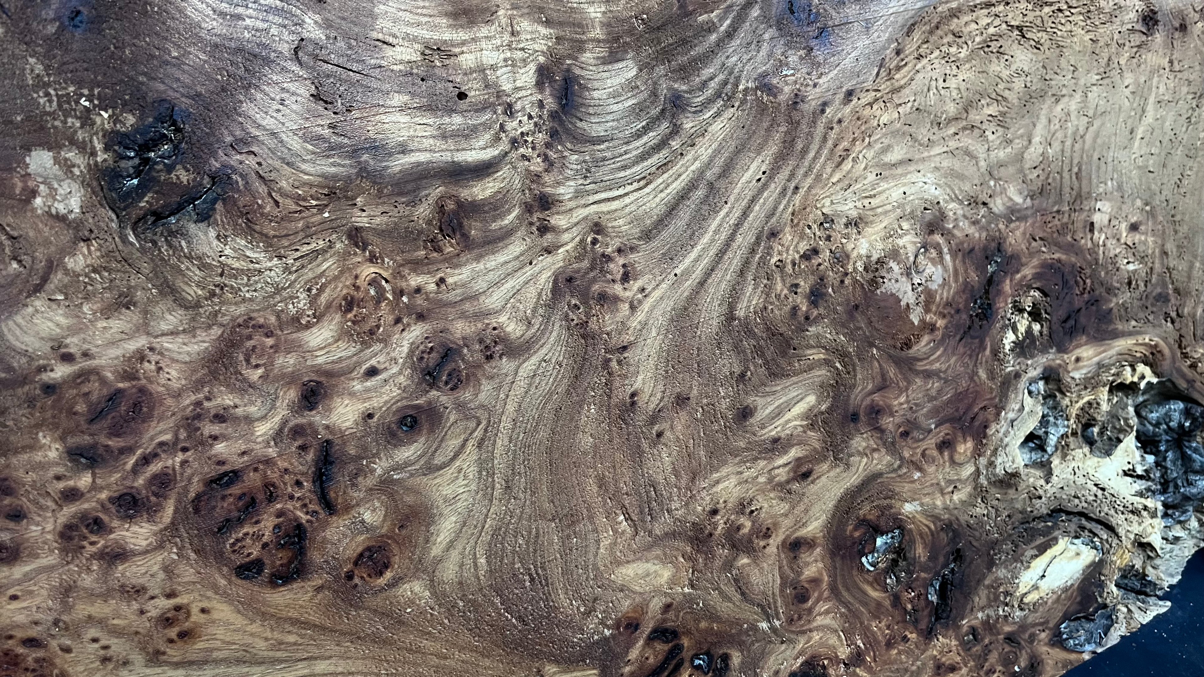Burr elm rustic table top, 1204 L x 526 W x 41 D mm    (mt568)