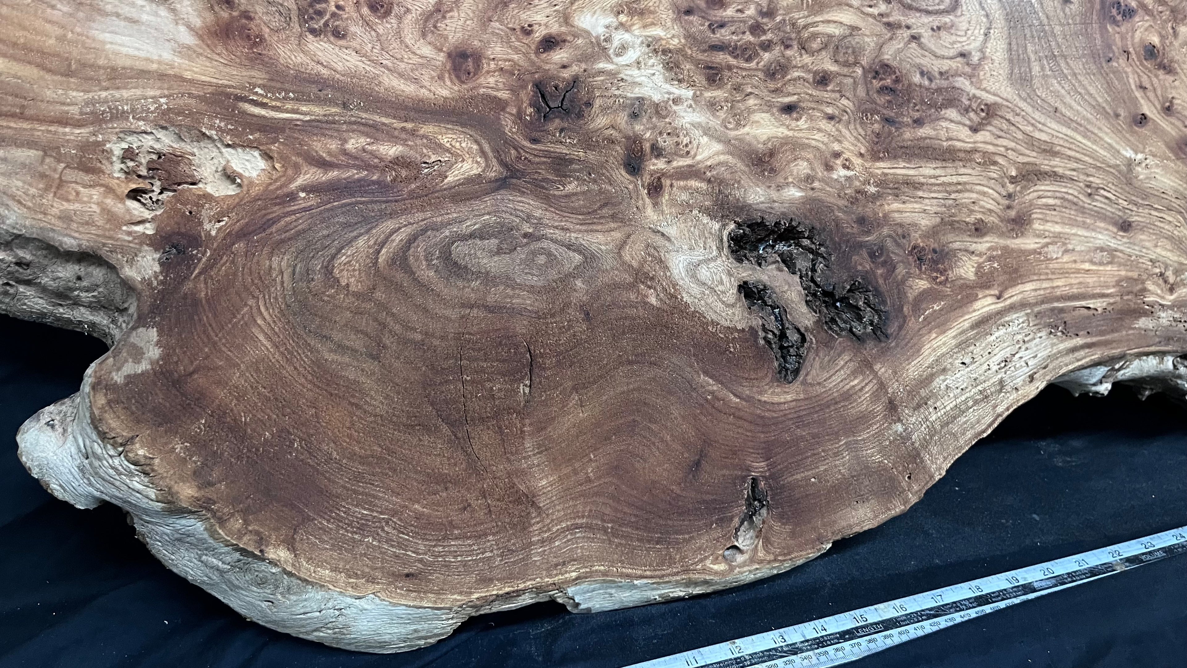 Burr elm rustic table top, 1204 L x 526 W x 41 D mm    (mt568)