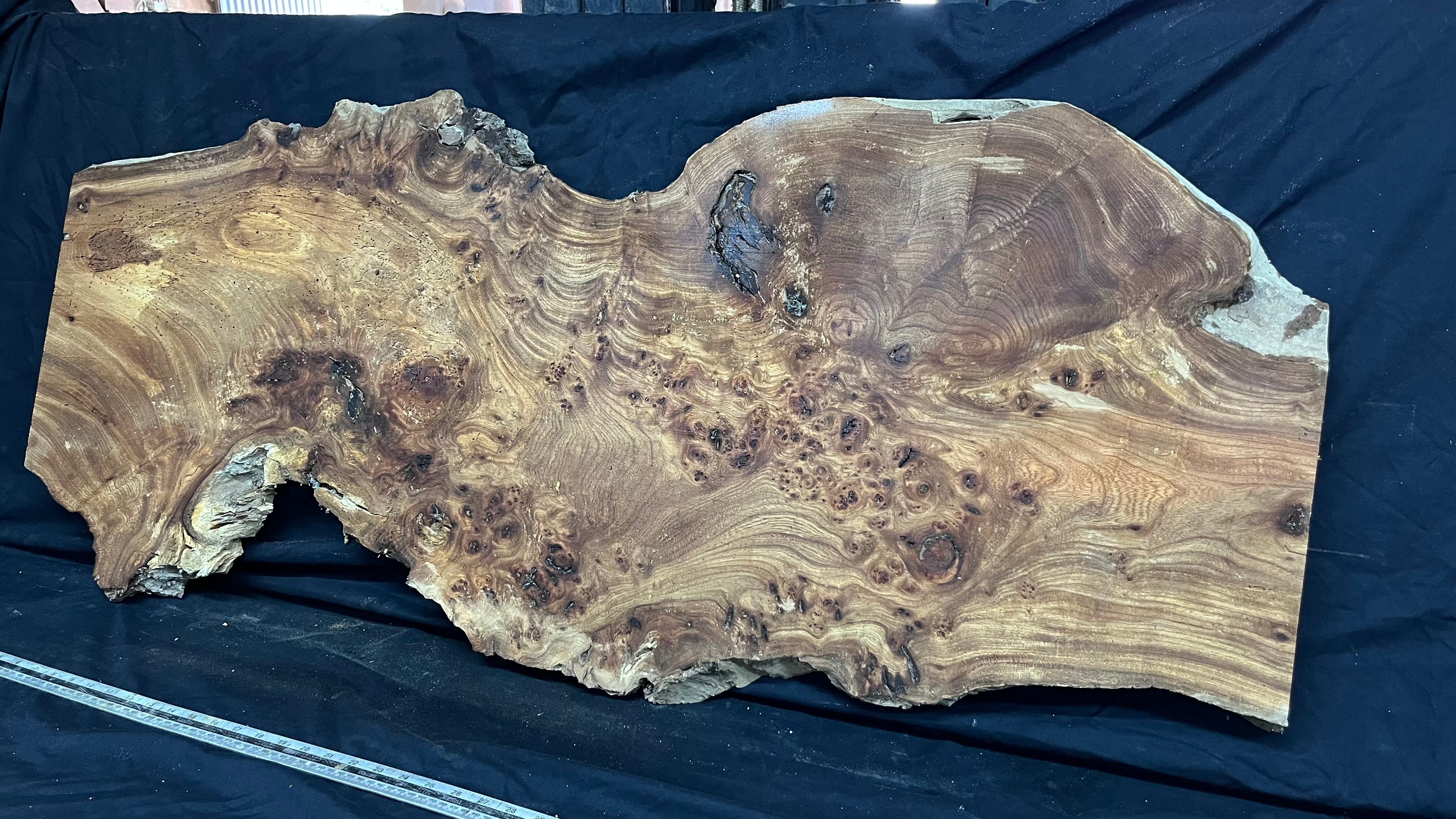 Burr elm rustic table top, 1275 L x 510 W x 33 D mm    (mt569)