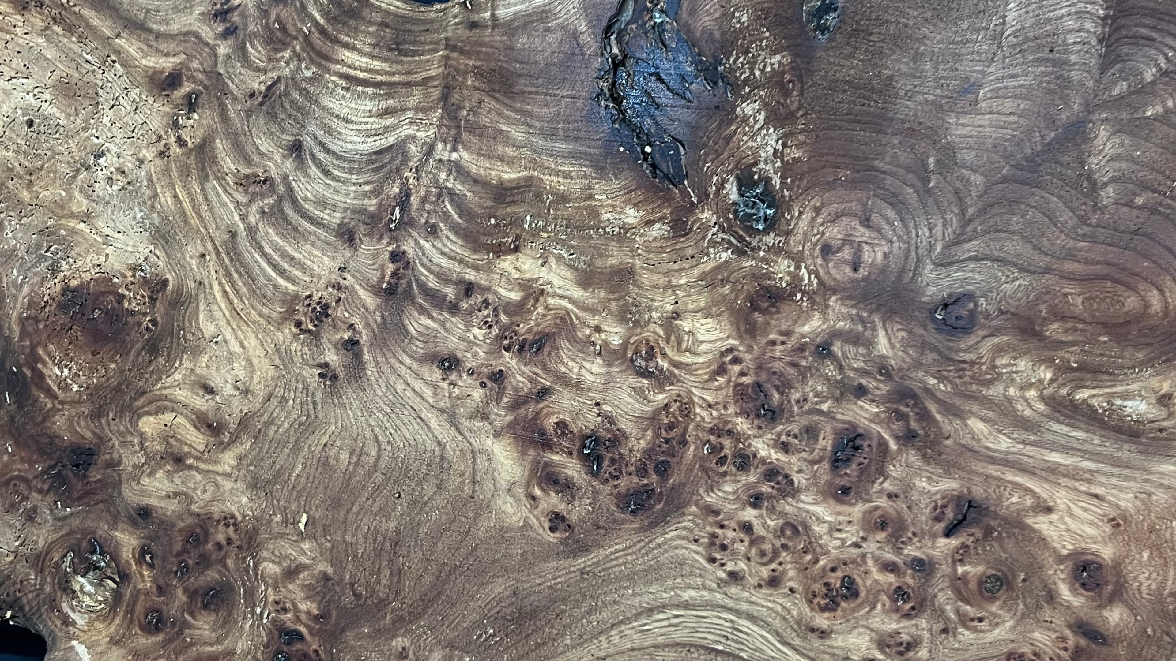 Burr elm rustic table top, 1275 L x 510 W x 33 D mm    (mt569)