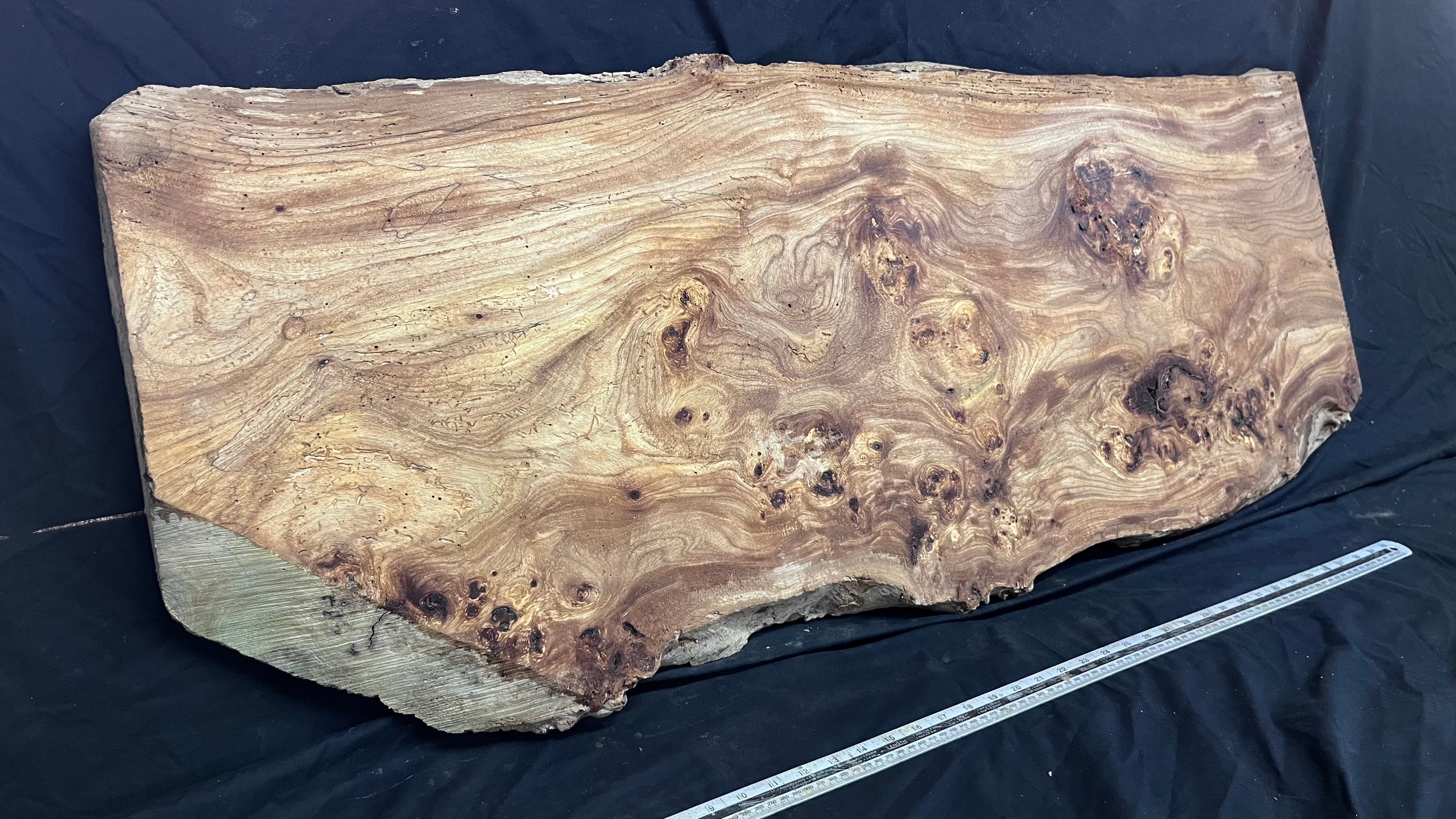 Burr elm rustic table top, 1167 L x 485 W x 45 D mm    (mt572)