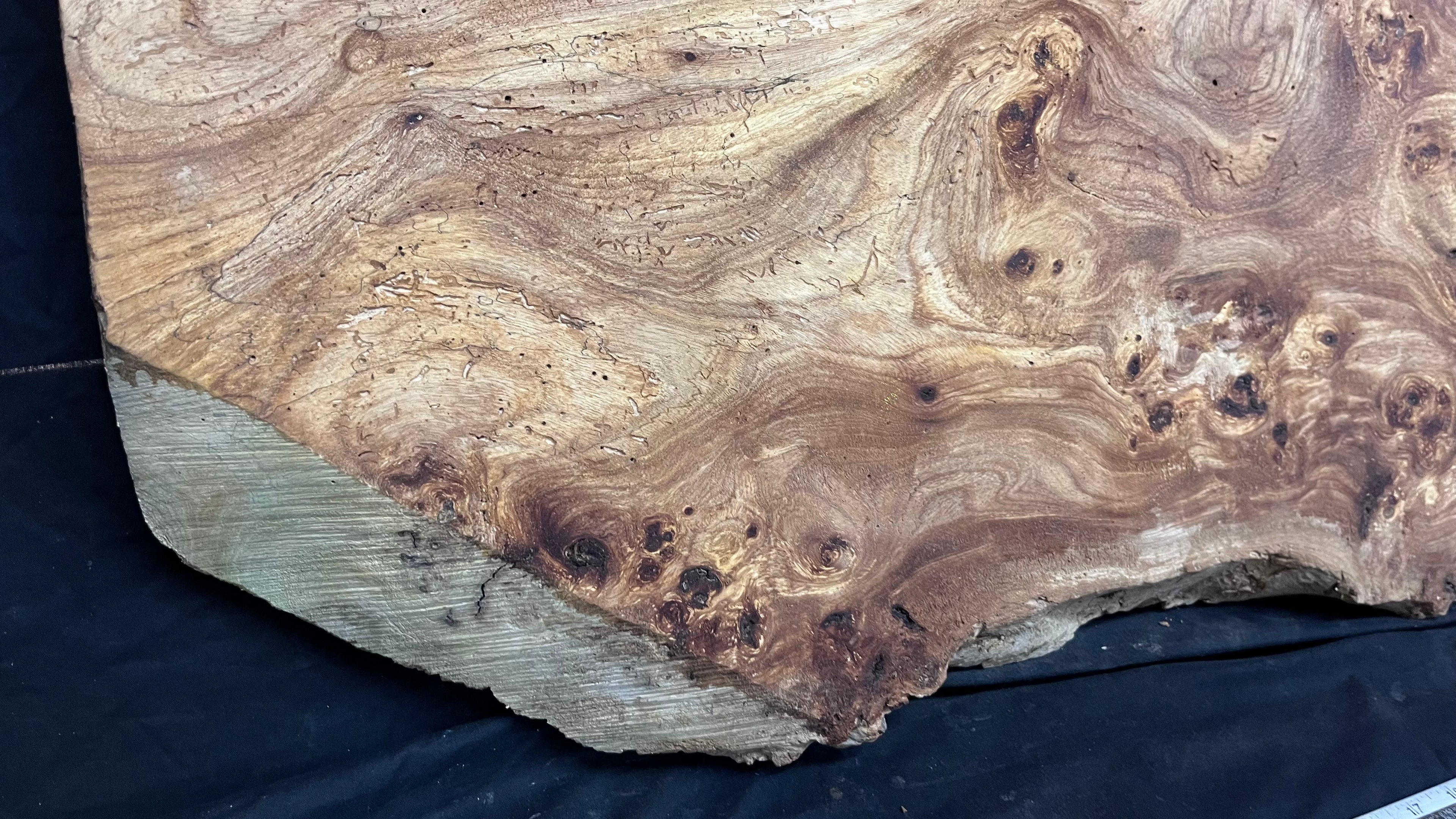 Burr elm rustic table top, 1167 L x 485 W x 45 D mm    (mt572)