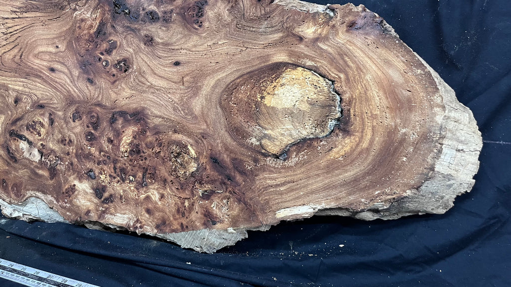 Burr elm rustic table top, 1255 L x 513 W x 45 D mm    (mt573)