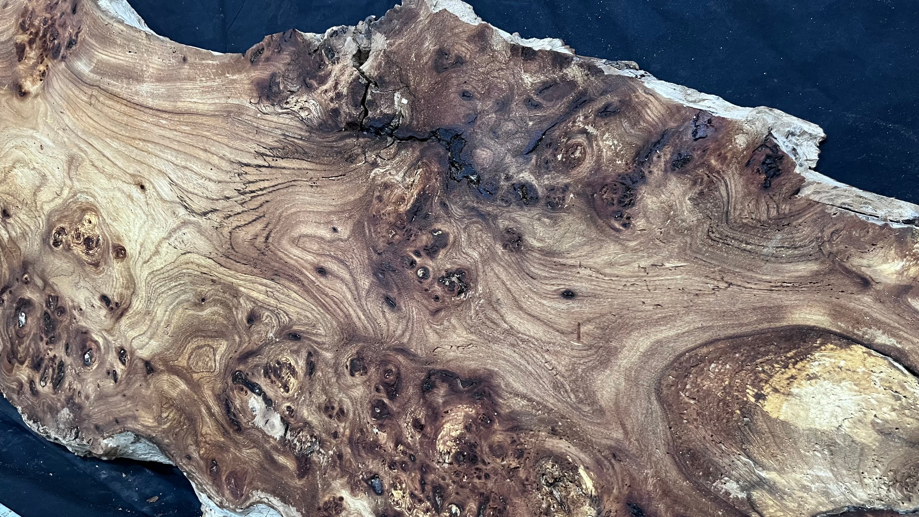 Burr elm rustic table top, 1255 L x 513 W x 45 D mm    (mt573)