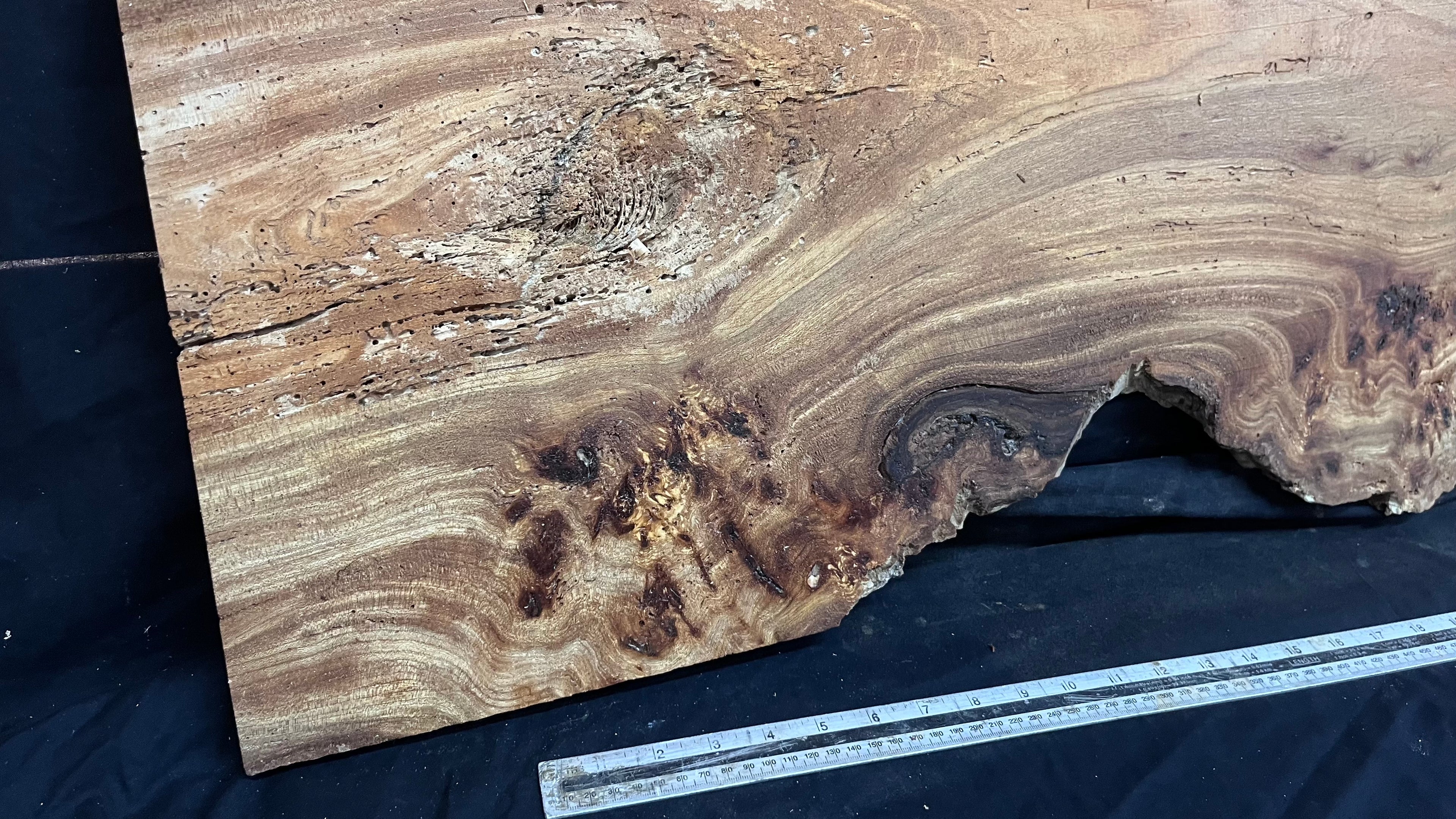 Burr elm rustic table top, 1600 L x 514 W x 25 D mm    (mt574)