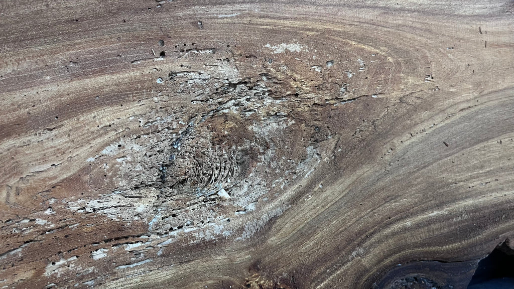 Burr elm rustic table top, 1600 L x 514 W x 25 D mm    (mt574)