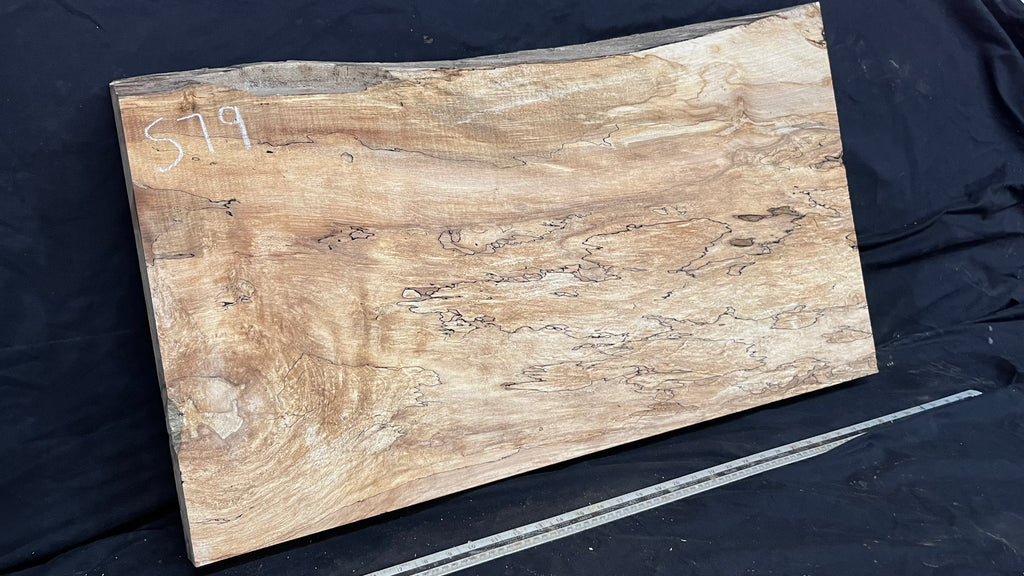 Hardwood plank, shelf, craft, sycamore, wood 887 L x 510 W x 49 D mm  (579)