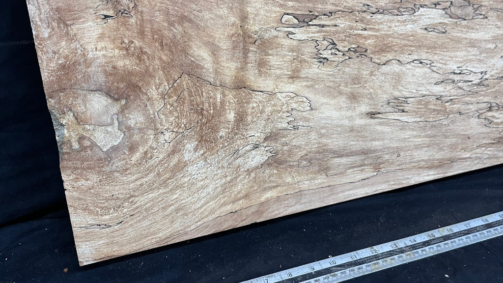 Hardwood plank, shelf, craft, sycamore, wood 887 L x 510 W x 49 D mm  (579)