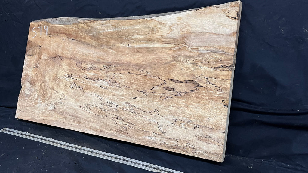 Hardwood plank, shelf, craft, sycamore, wood 887 L x 510 W x 49 D mm  (579)