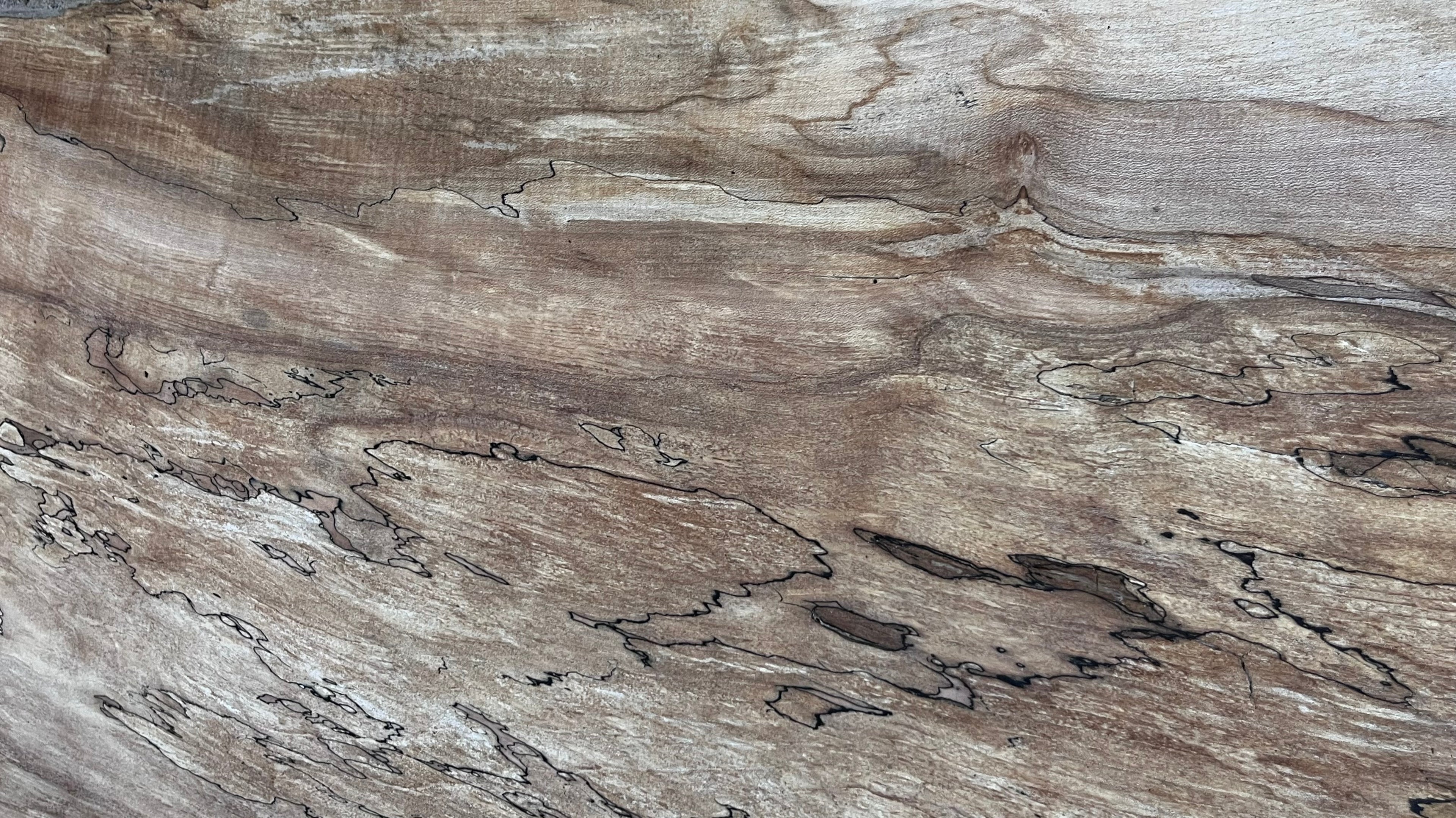 Hardwood plank, shelf, craft, sycamore, wood 887 L x 510 W x 49 D mm  (579)