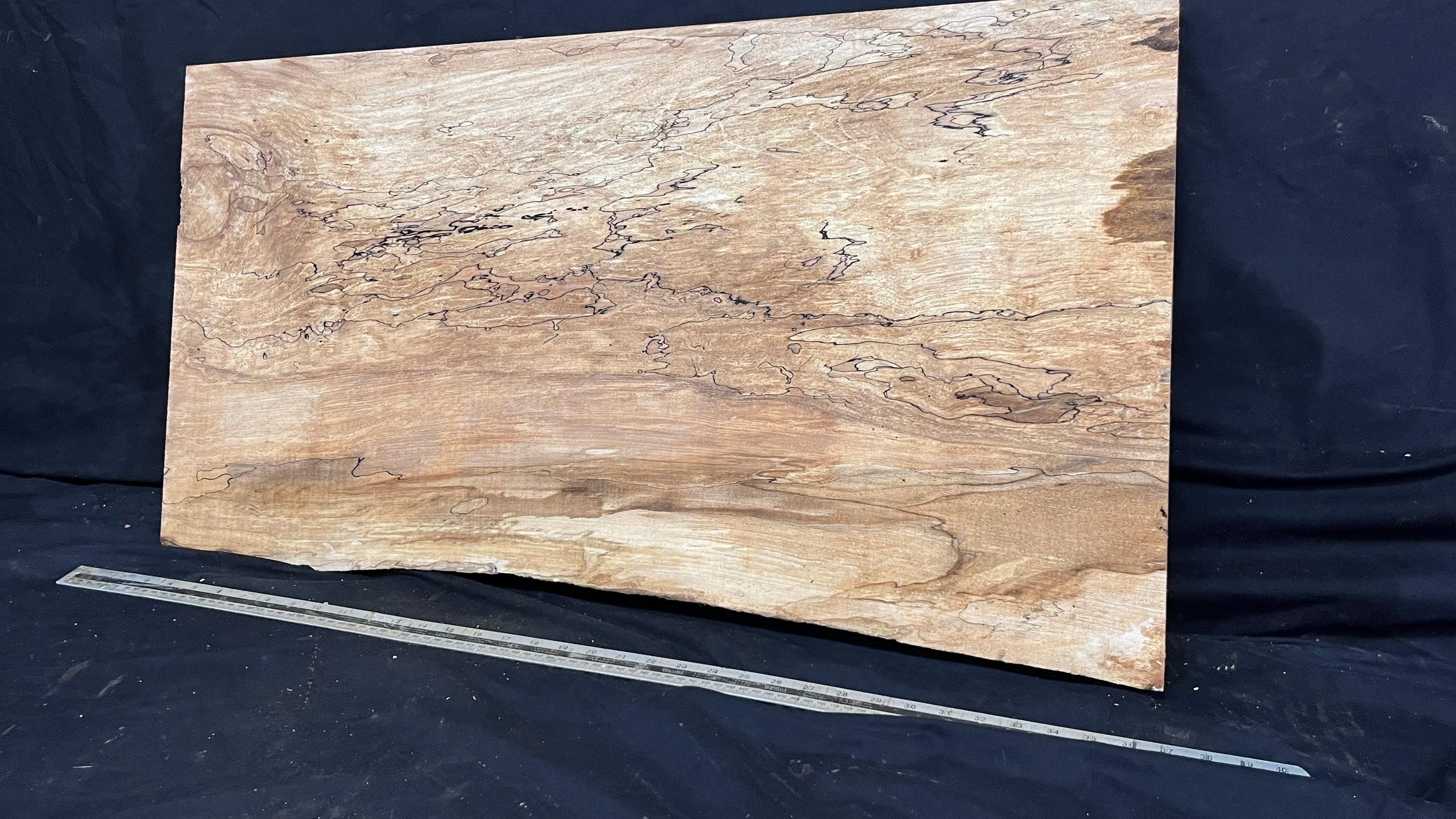 Hardwood plank, shelf, craft, sycamore, wood 887 L x 510 W x 49 D mm  (579)