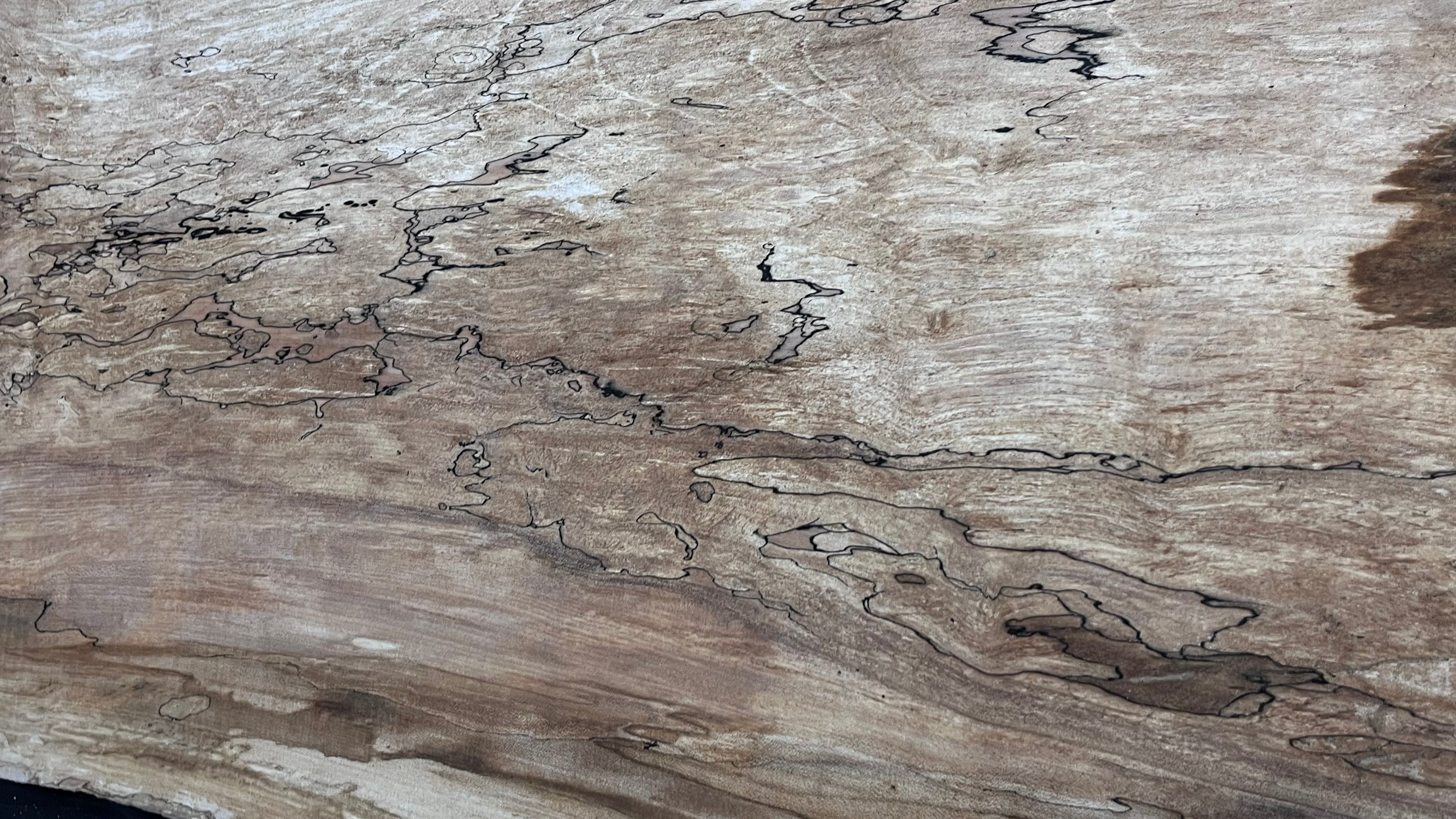 Hardwood plank, shelf, craft, sycamore, wood 887 L x 510 W x 49 D mm  (579)
