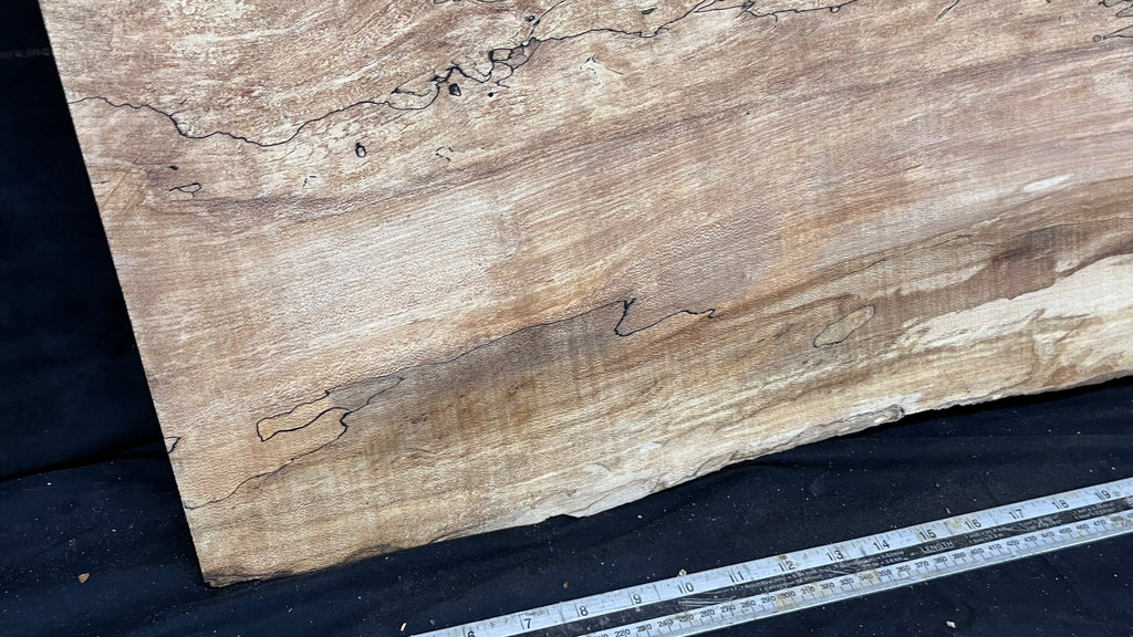 Hardwood plank, shelf, craft, sycamore, wood 887 L x 510 W x 49 D mm  (579)