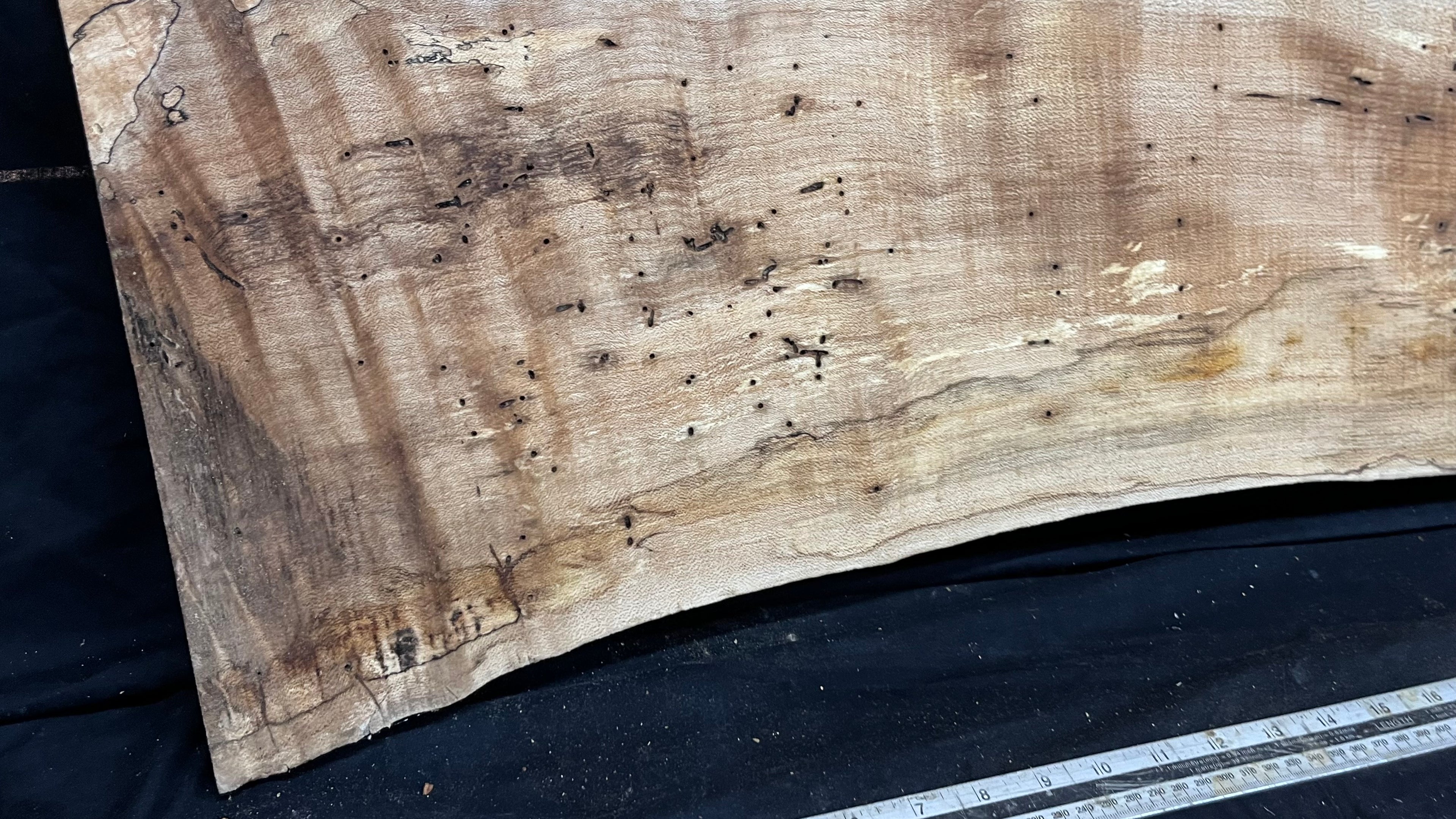 Hardwood plank, shelf, craft, sycamore, wood 952 L x 450 W x 49 D mm  (580)